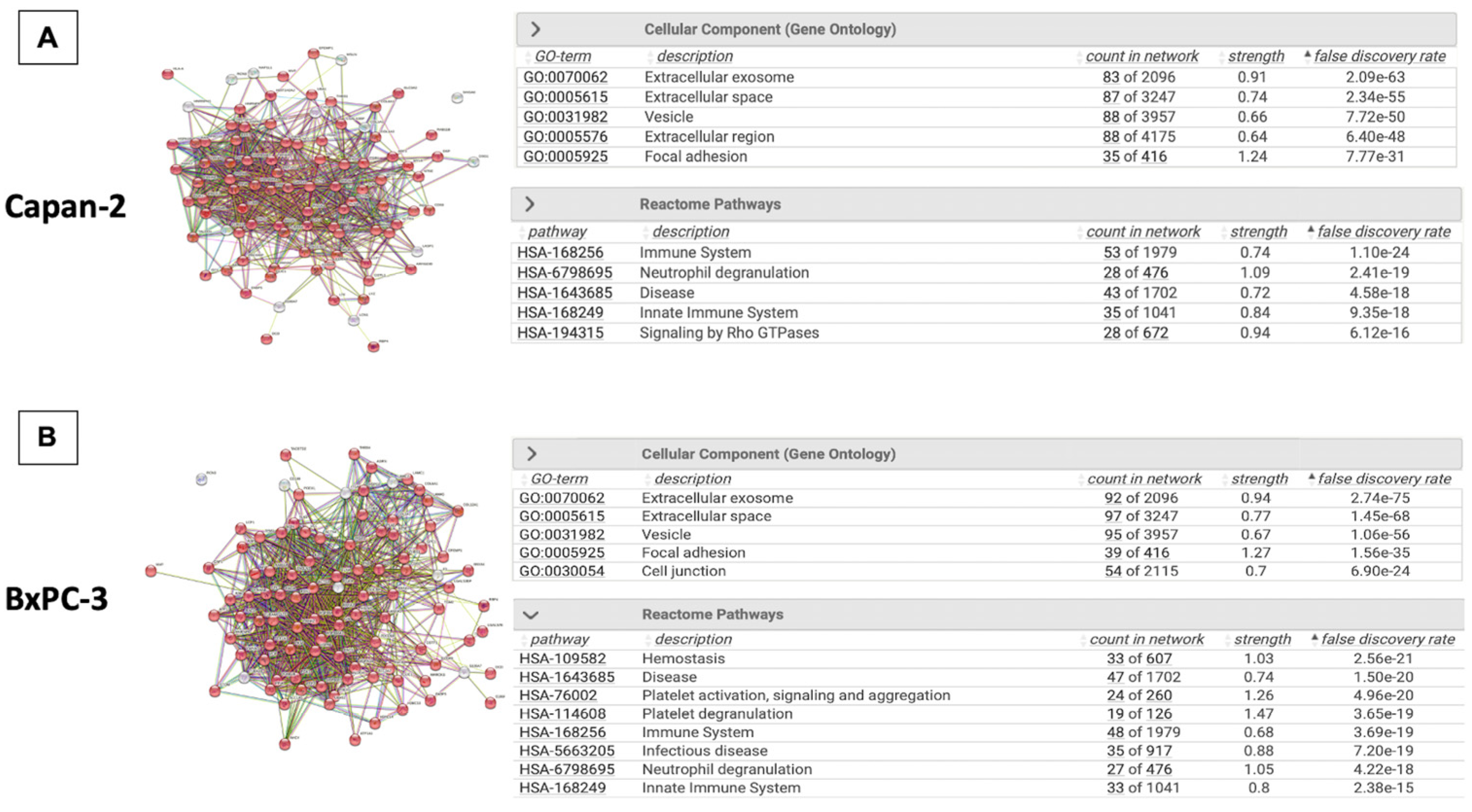 Cancers 16 01795 g002