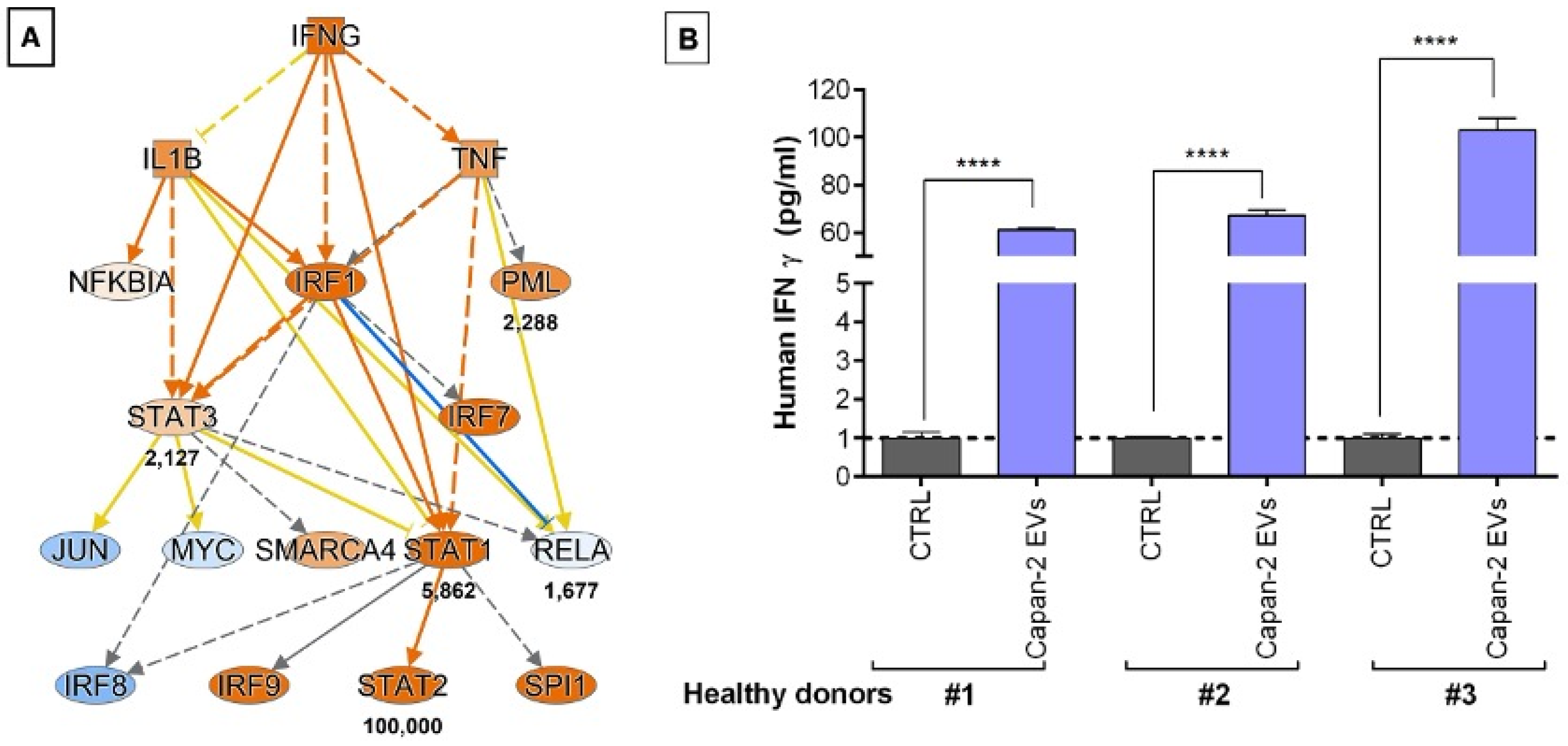 Cancers 16 01795 g008