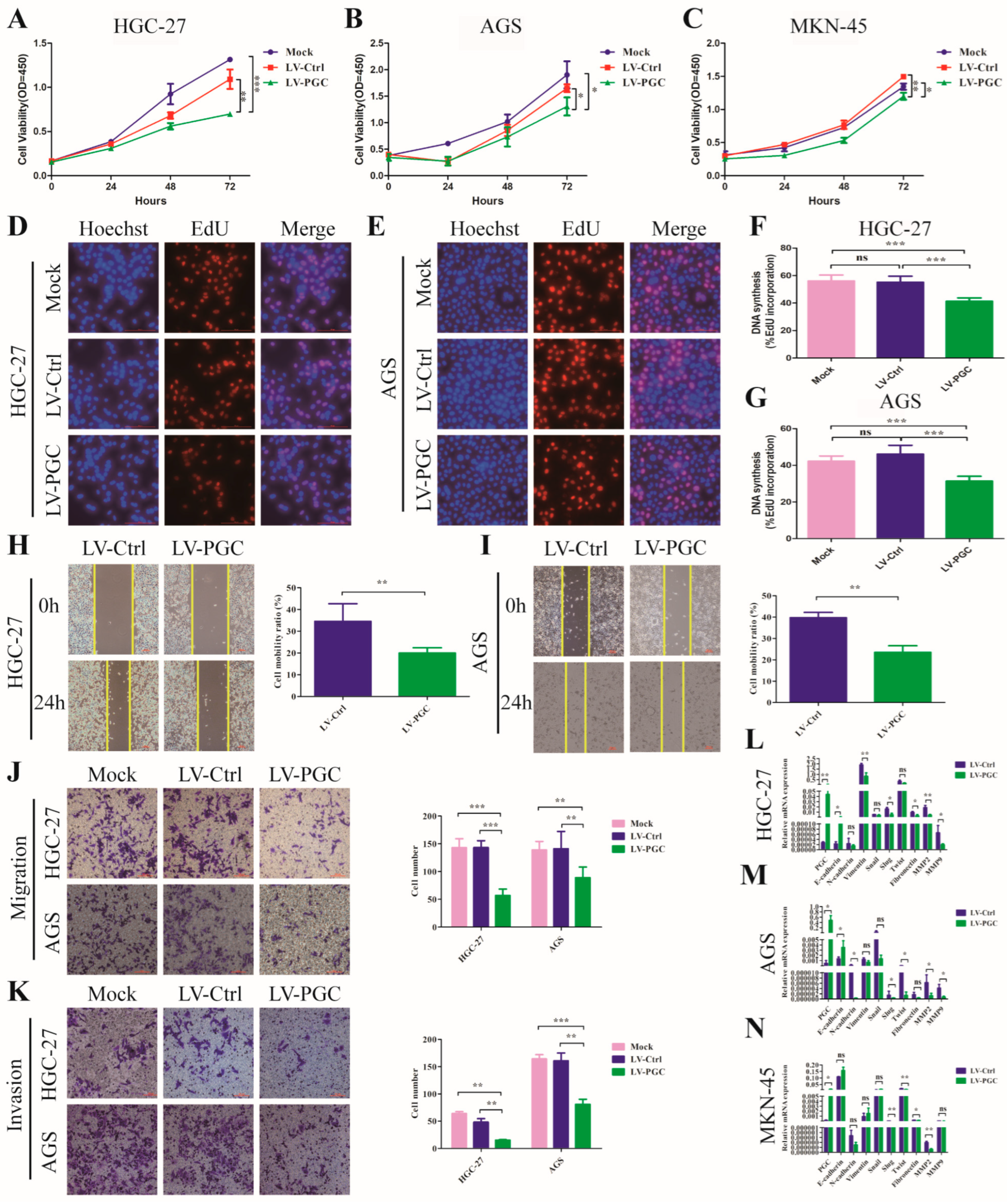 Cancers 16 01796 g001
