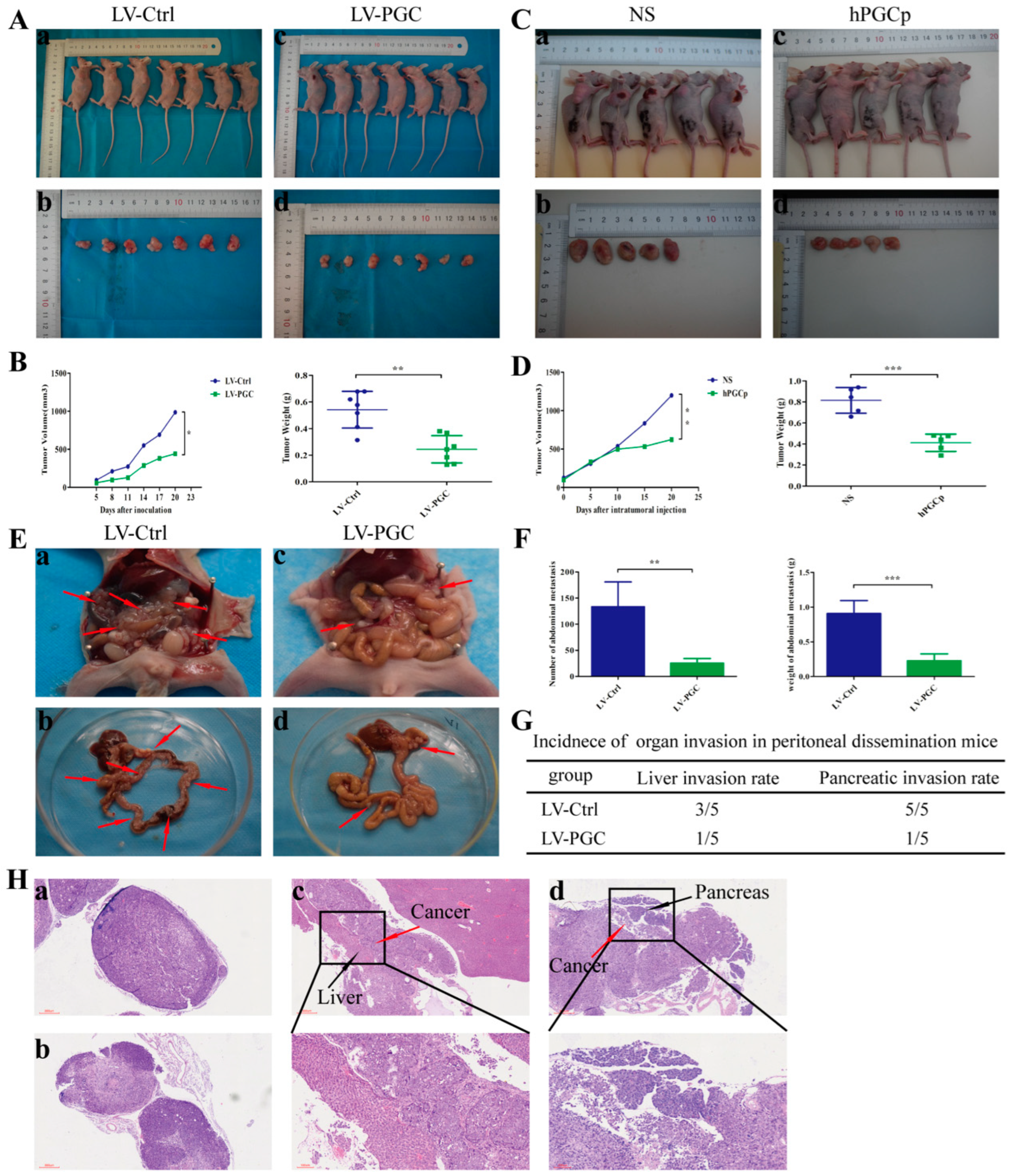 Cancers 16 01796 g002