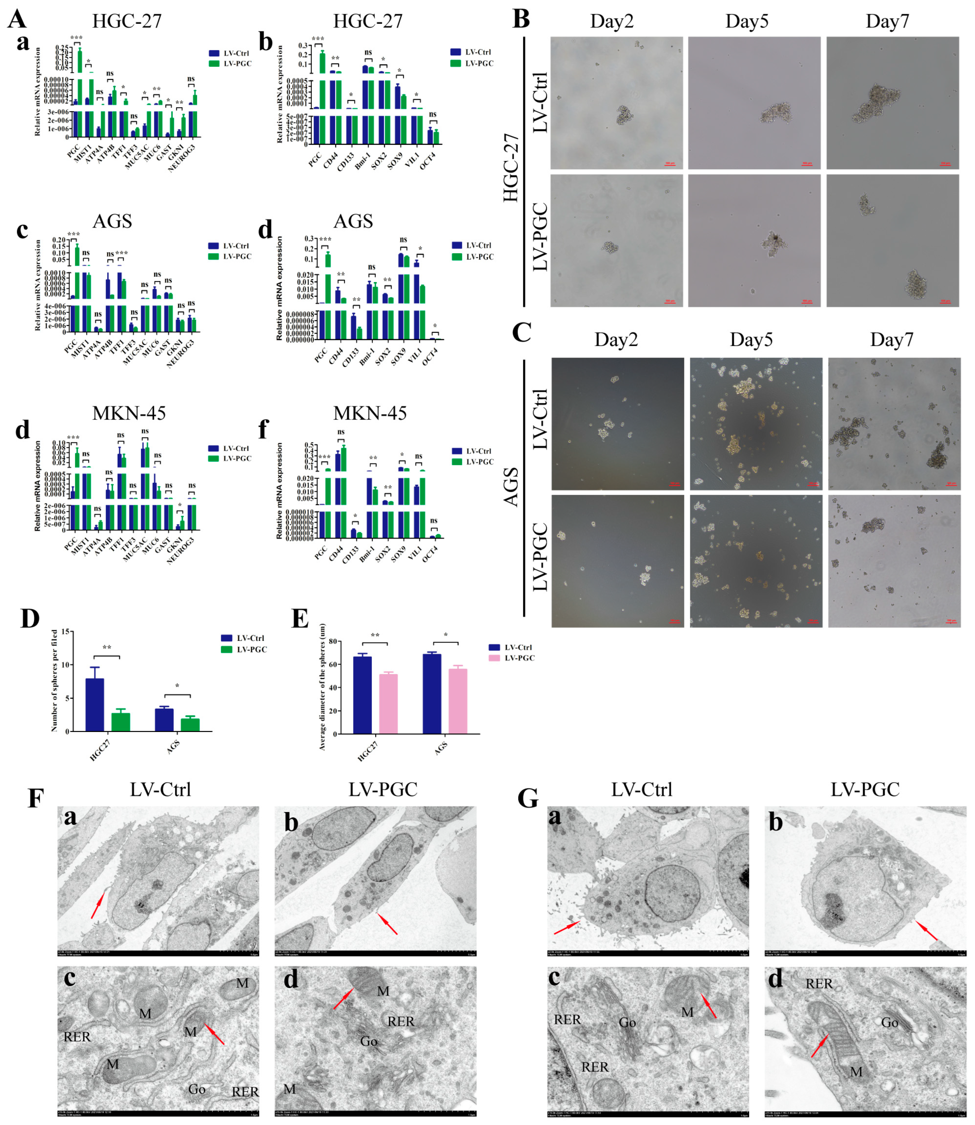 Cancers 16 01796 g003