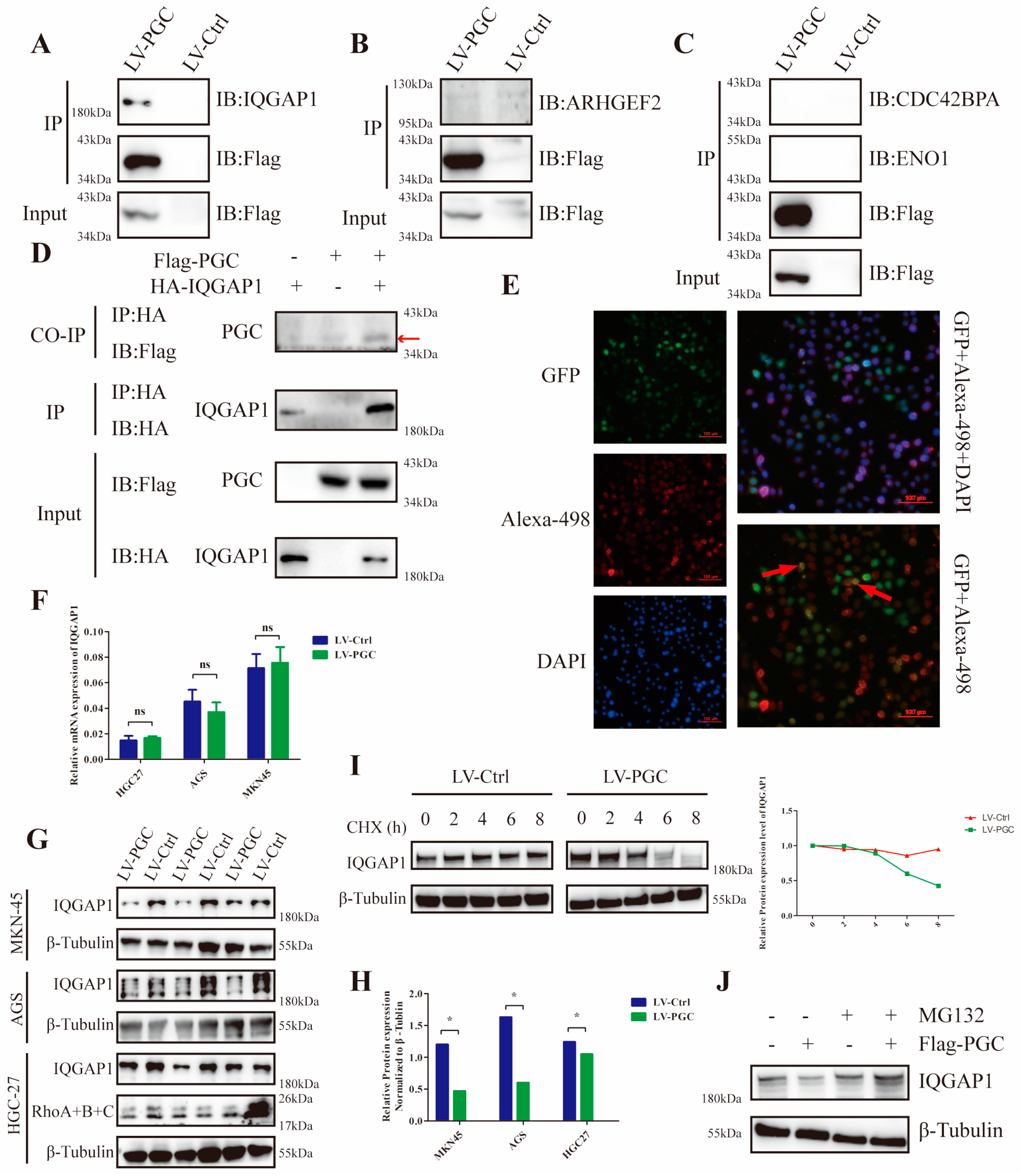 Cancers 16 01796 g004