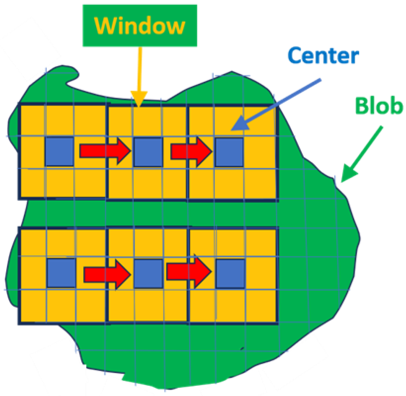 Cancers 16 01822 g005