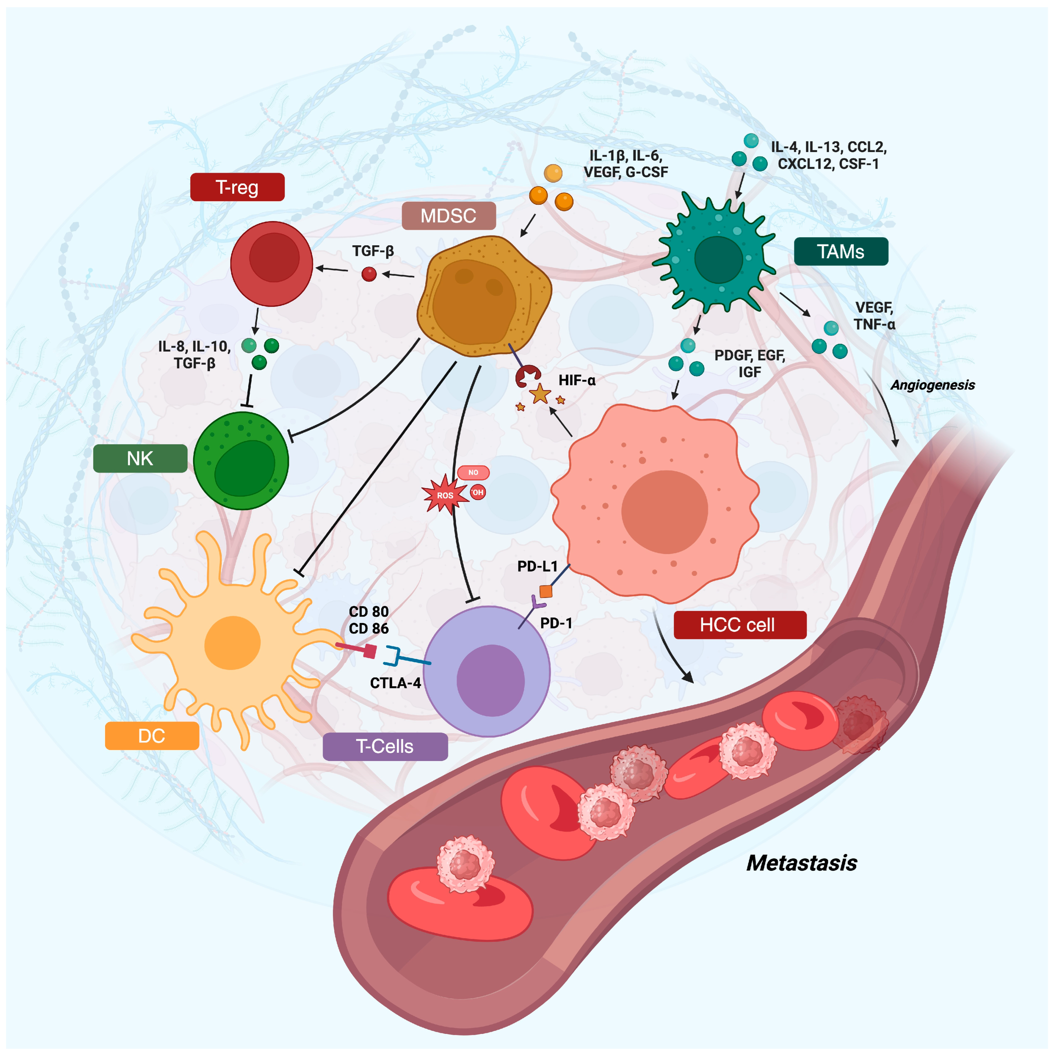 Cancers 16 01837 g001 Cancers 16 01837 g001