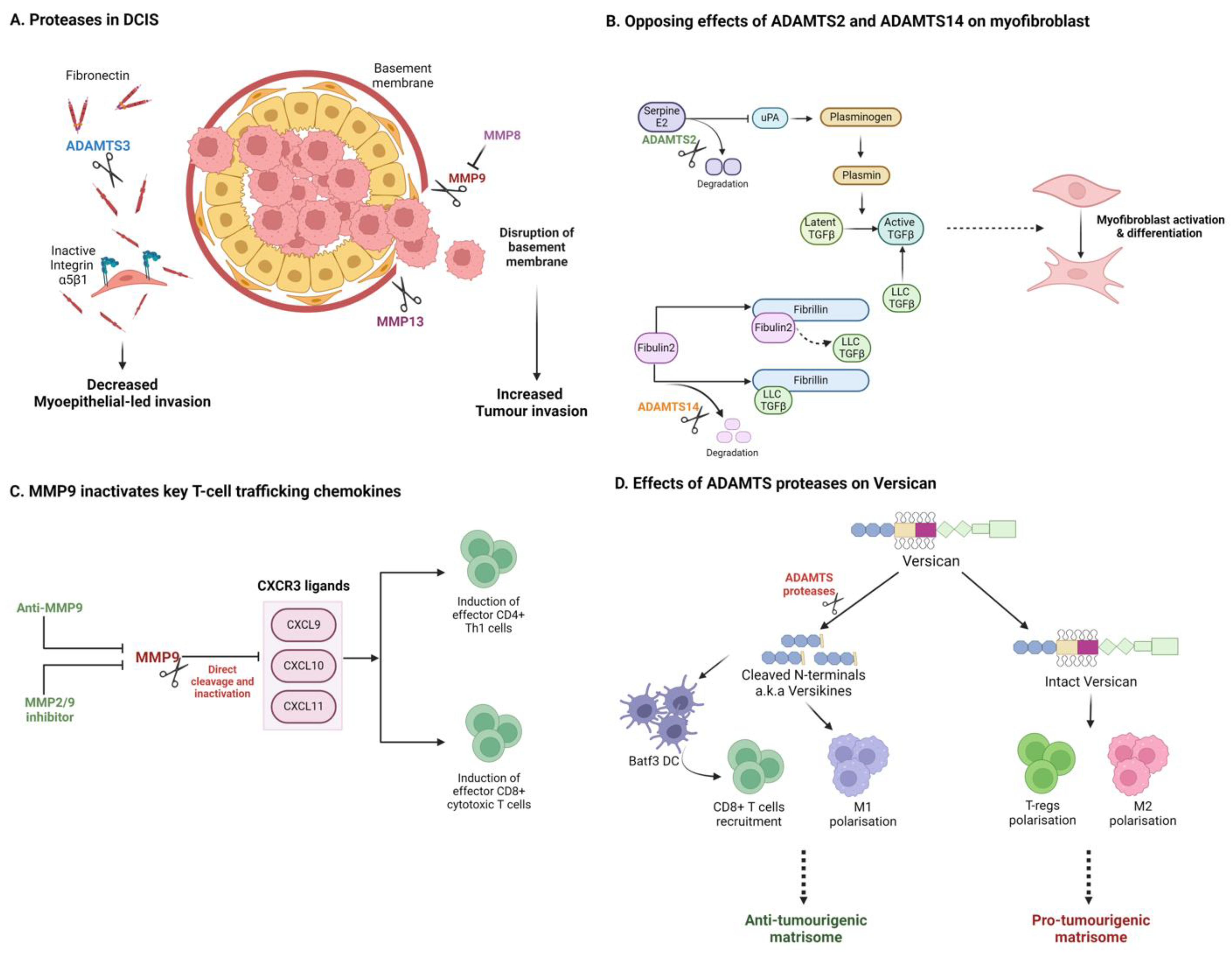 Cancers 16 01847 g003