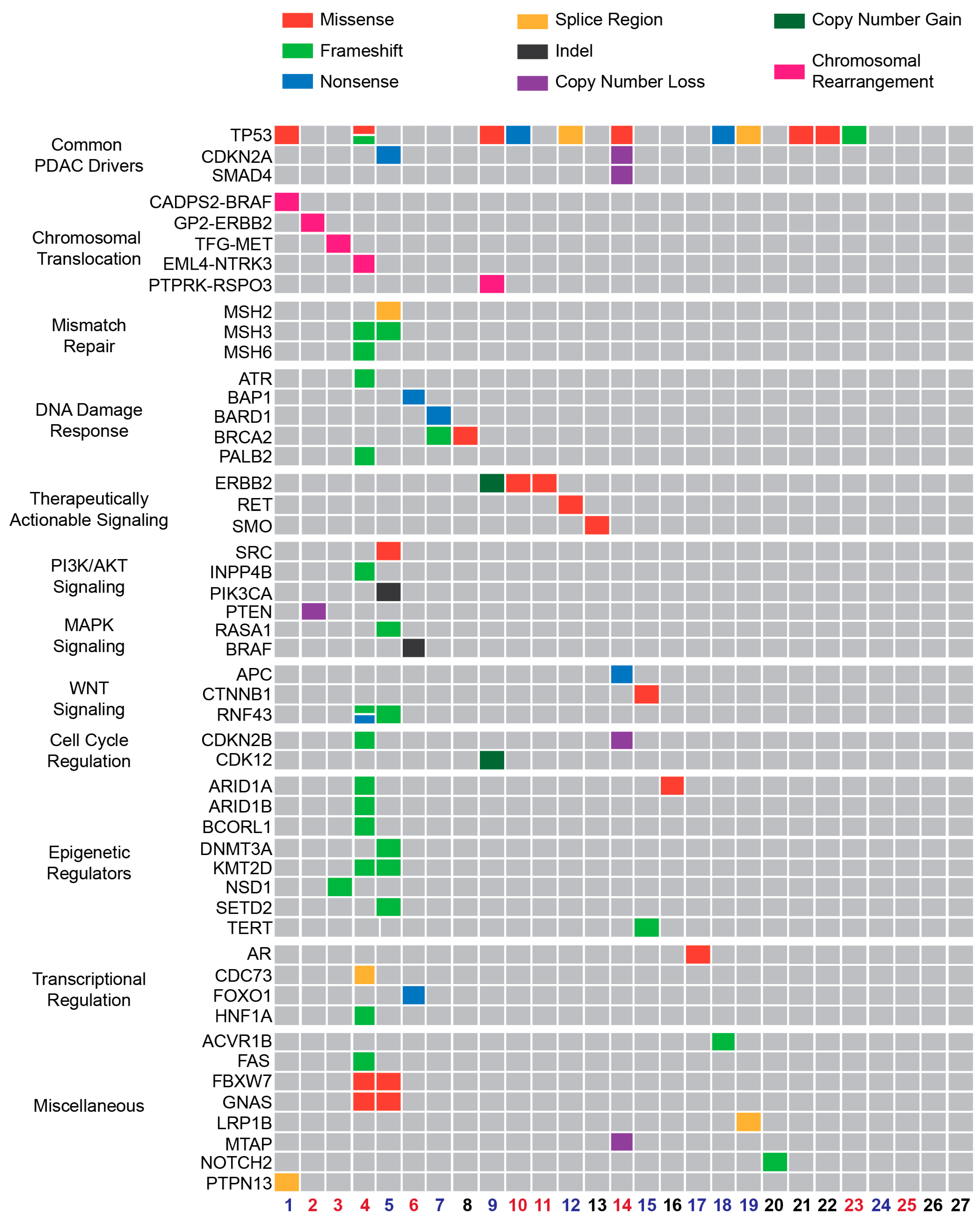 Cancers 16 01861 g001
