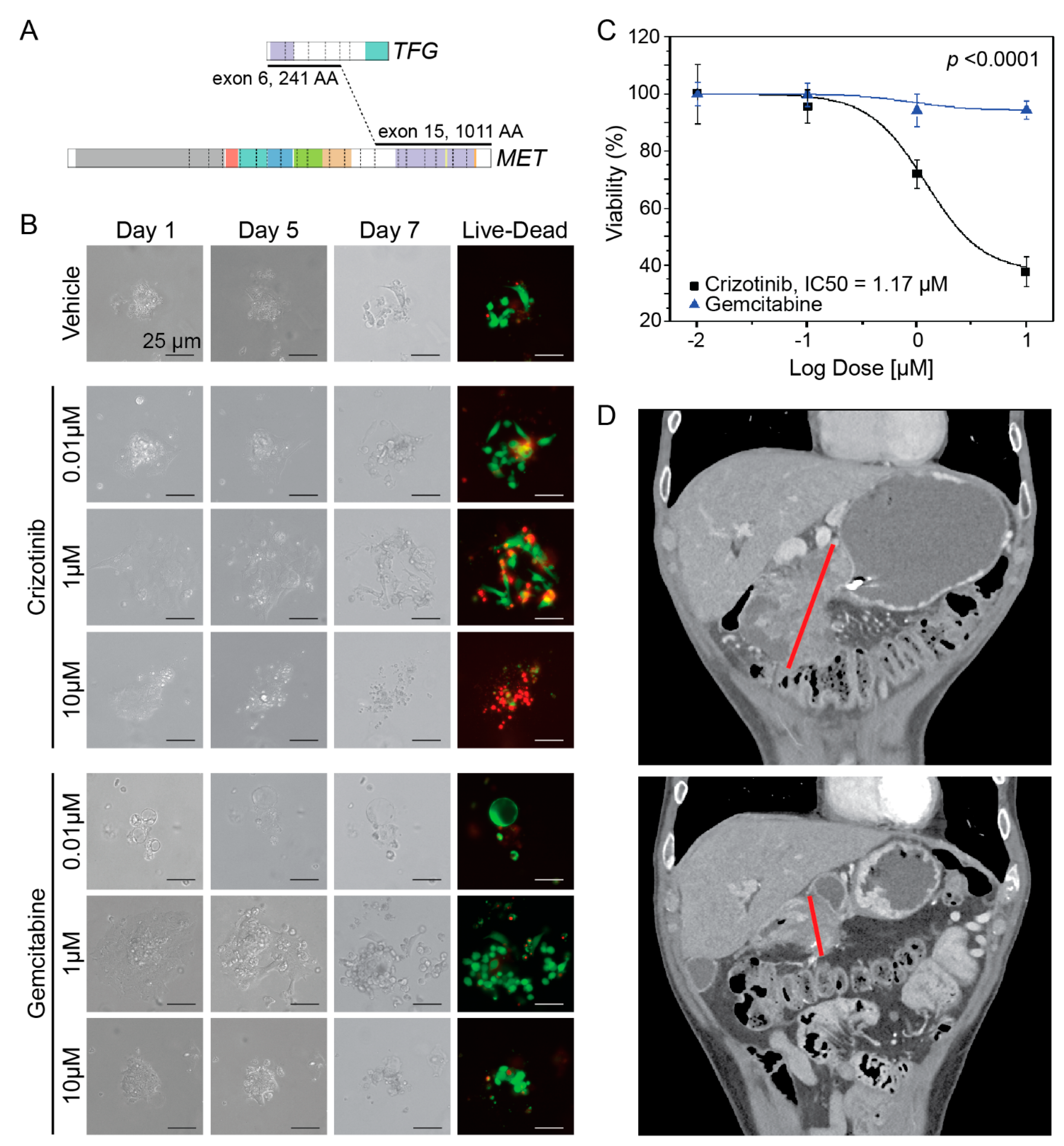 Cancers 16 01861 g003