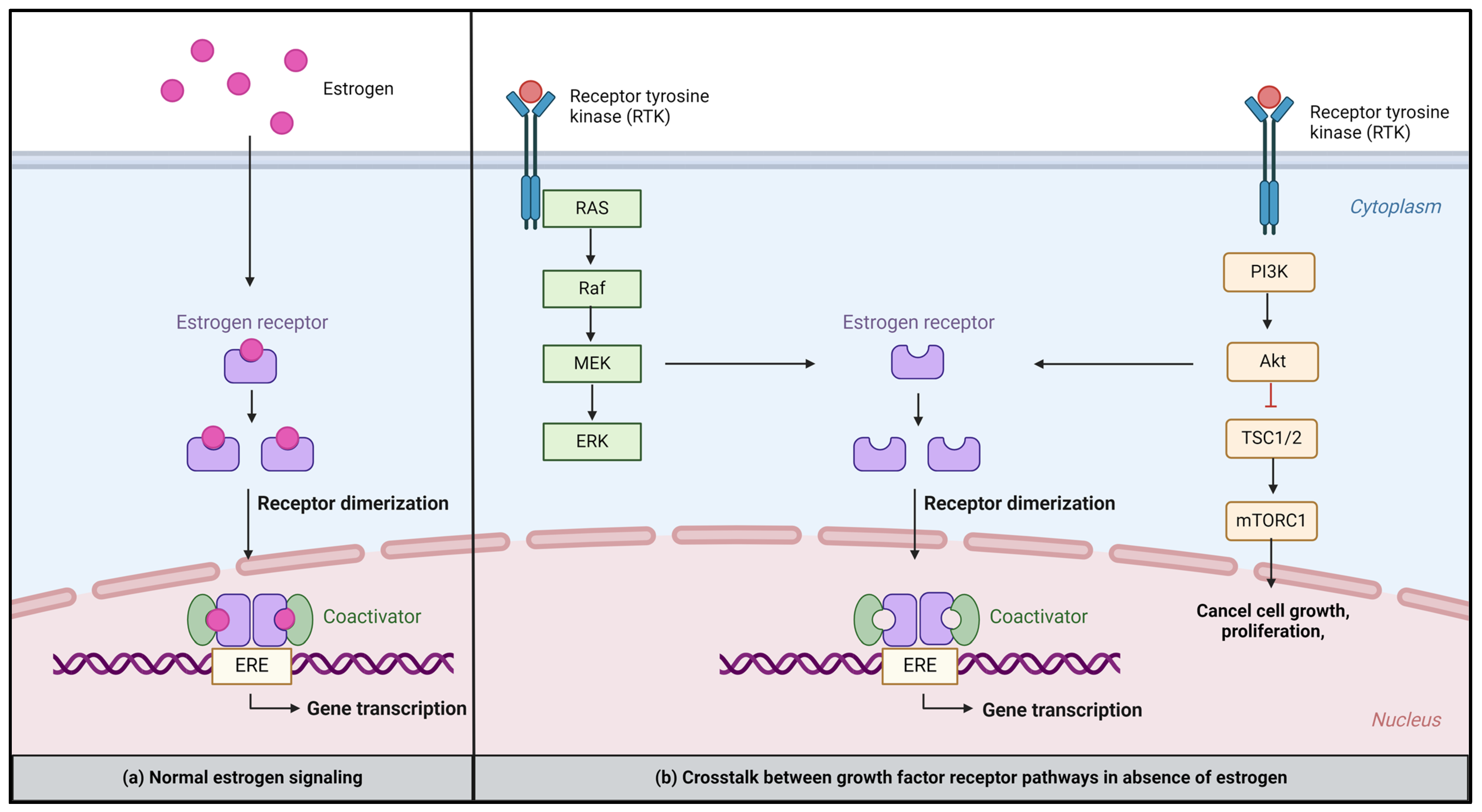 Cancers 16 01862 g002
