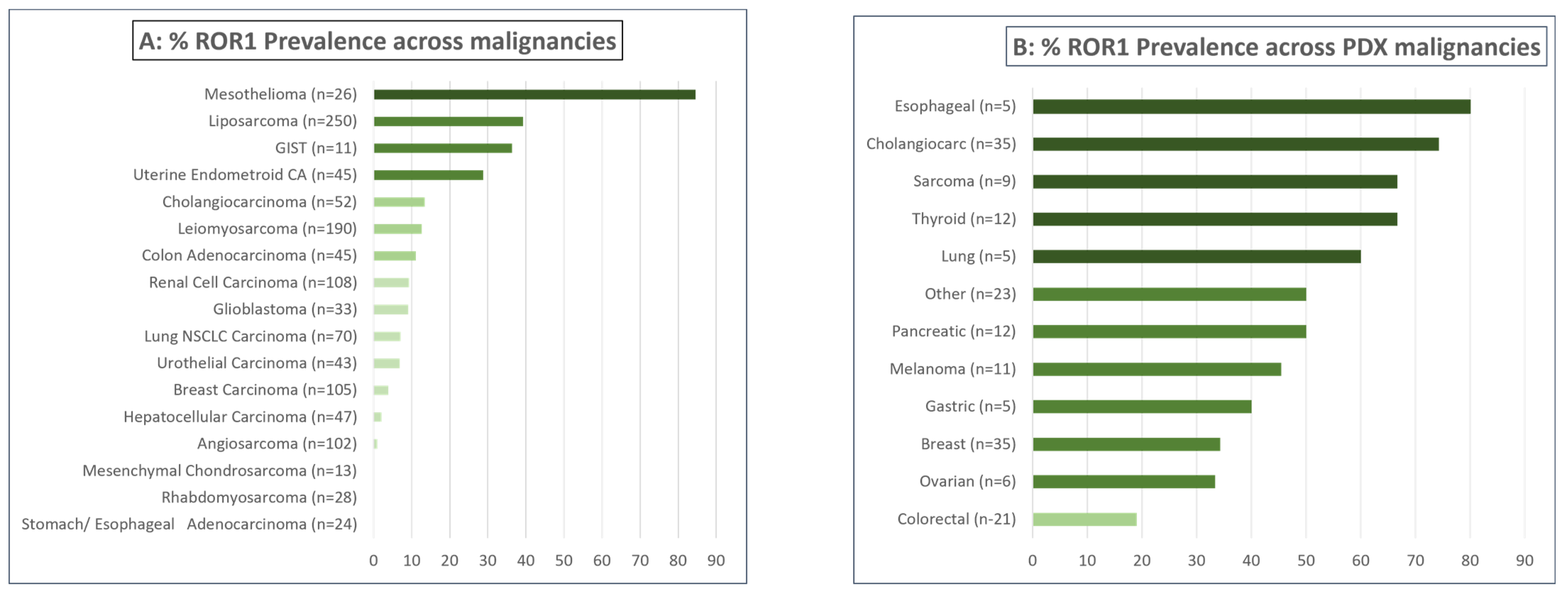 Cancers 16 01874 g007