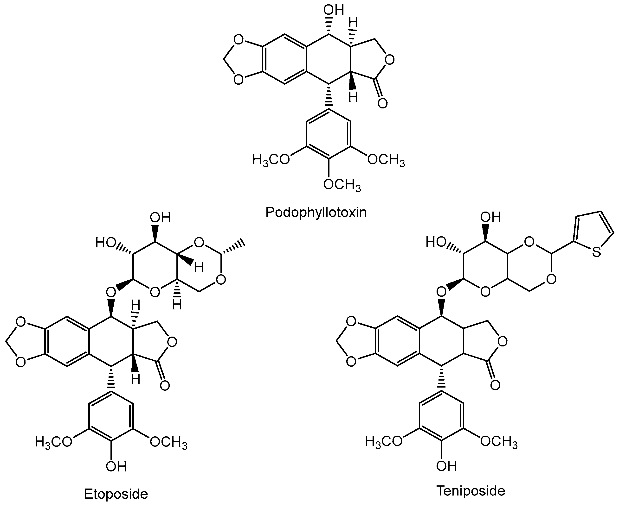 Cancers 16 01878 g001