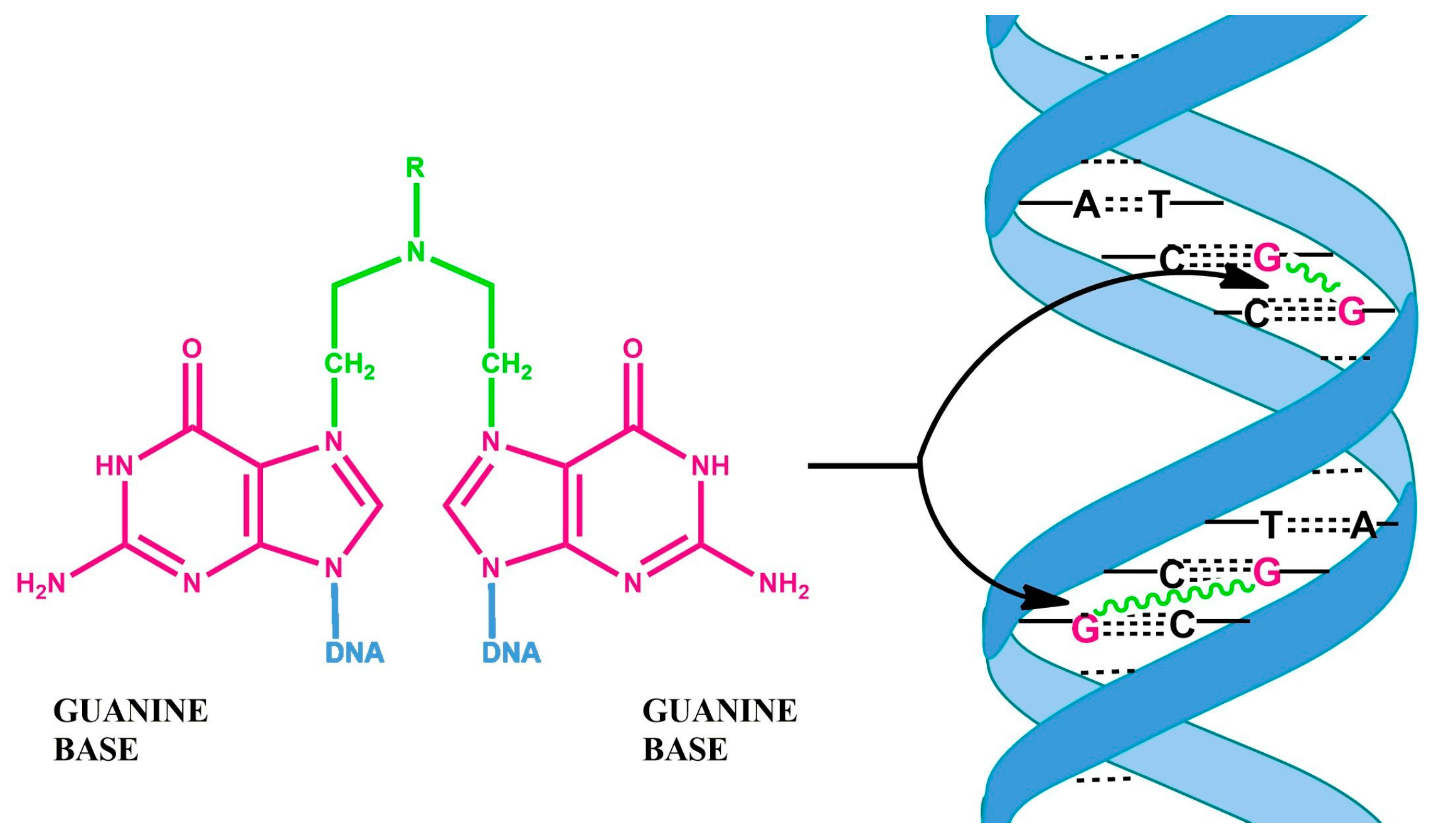 Cancers 16 01878 g003