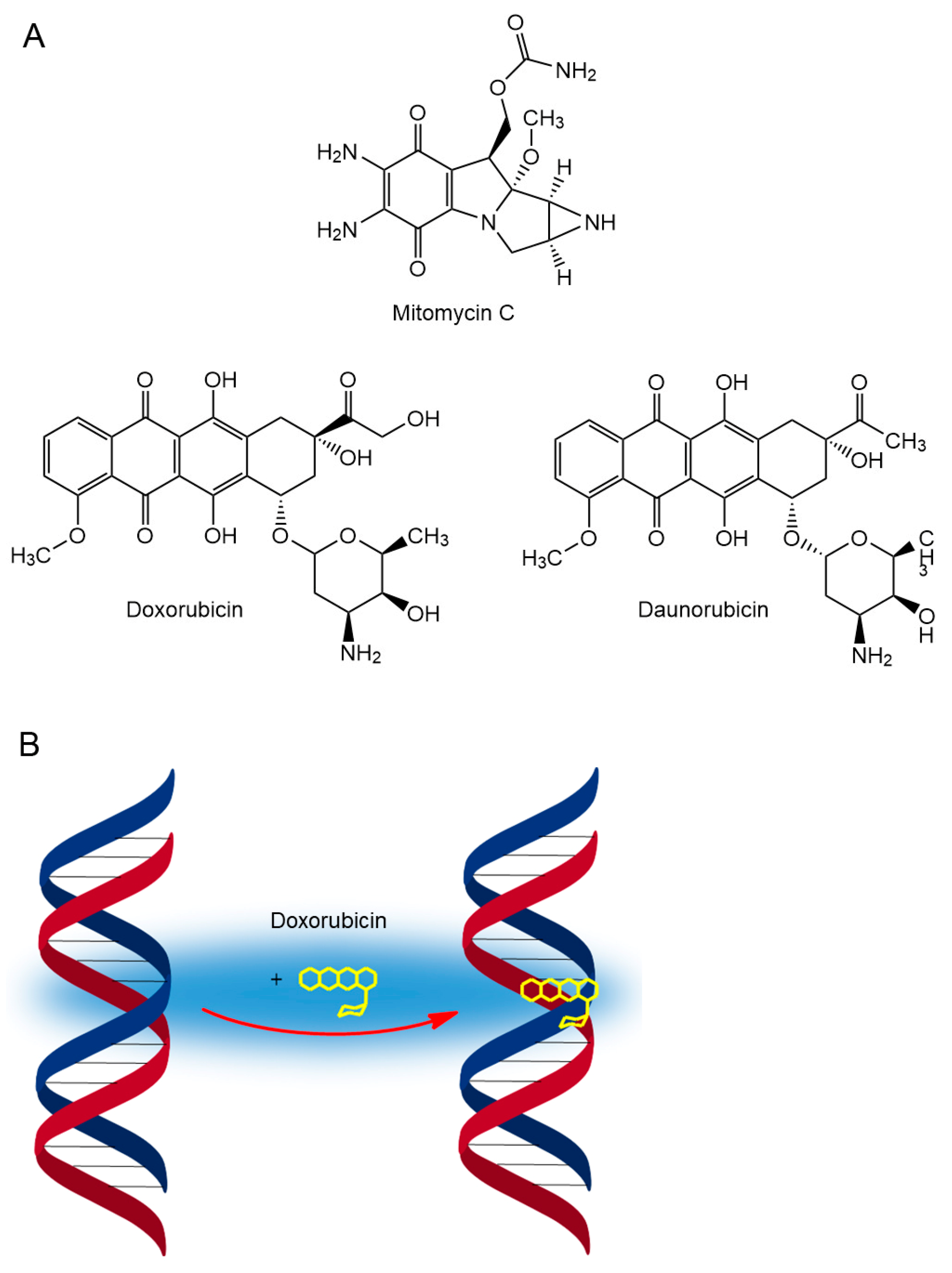 Cancers 16 01878 g006