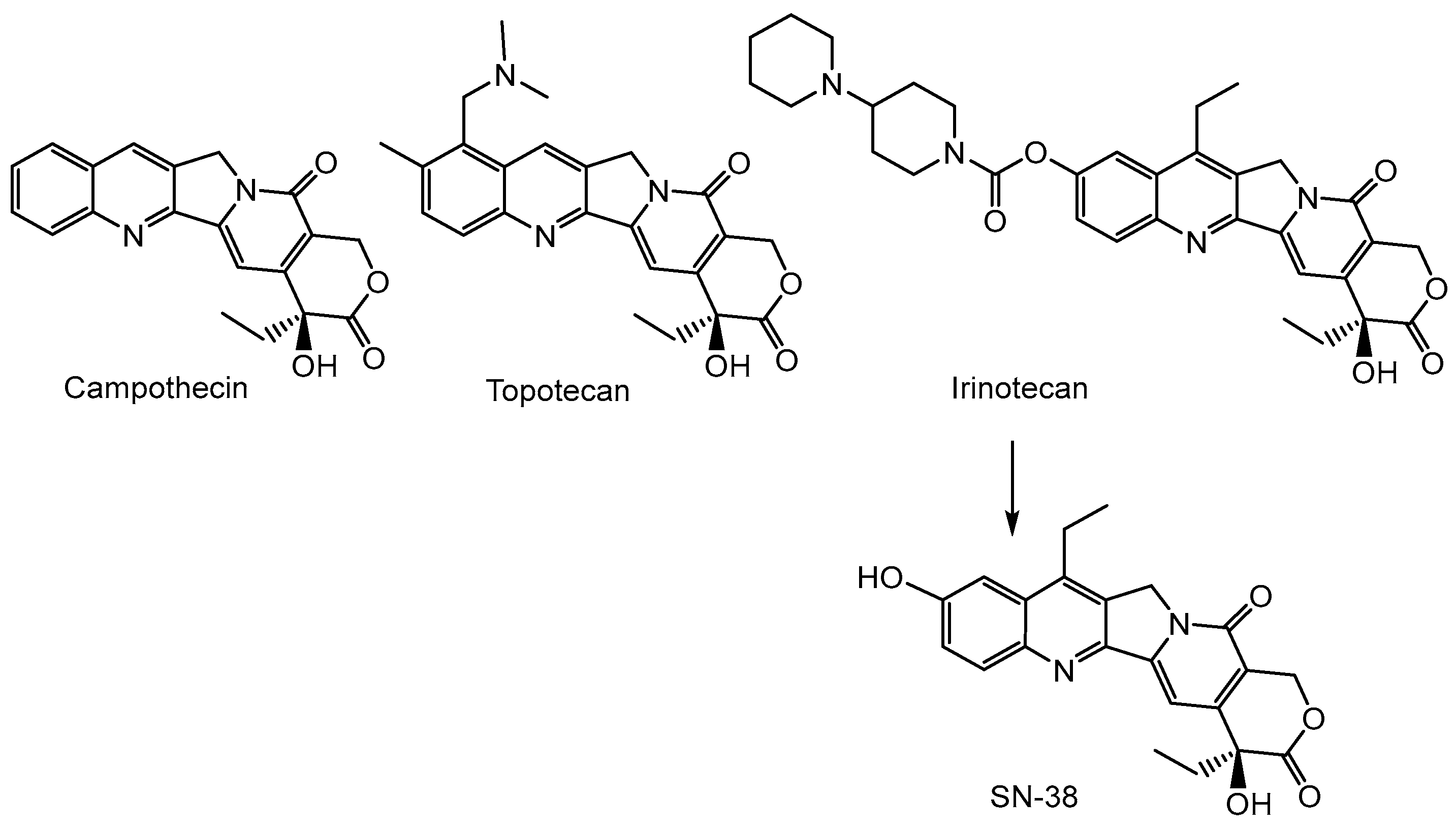 Cancers 16 01878 g008
