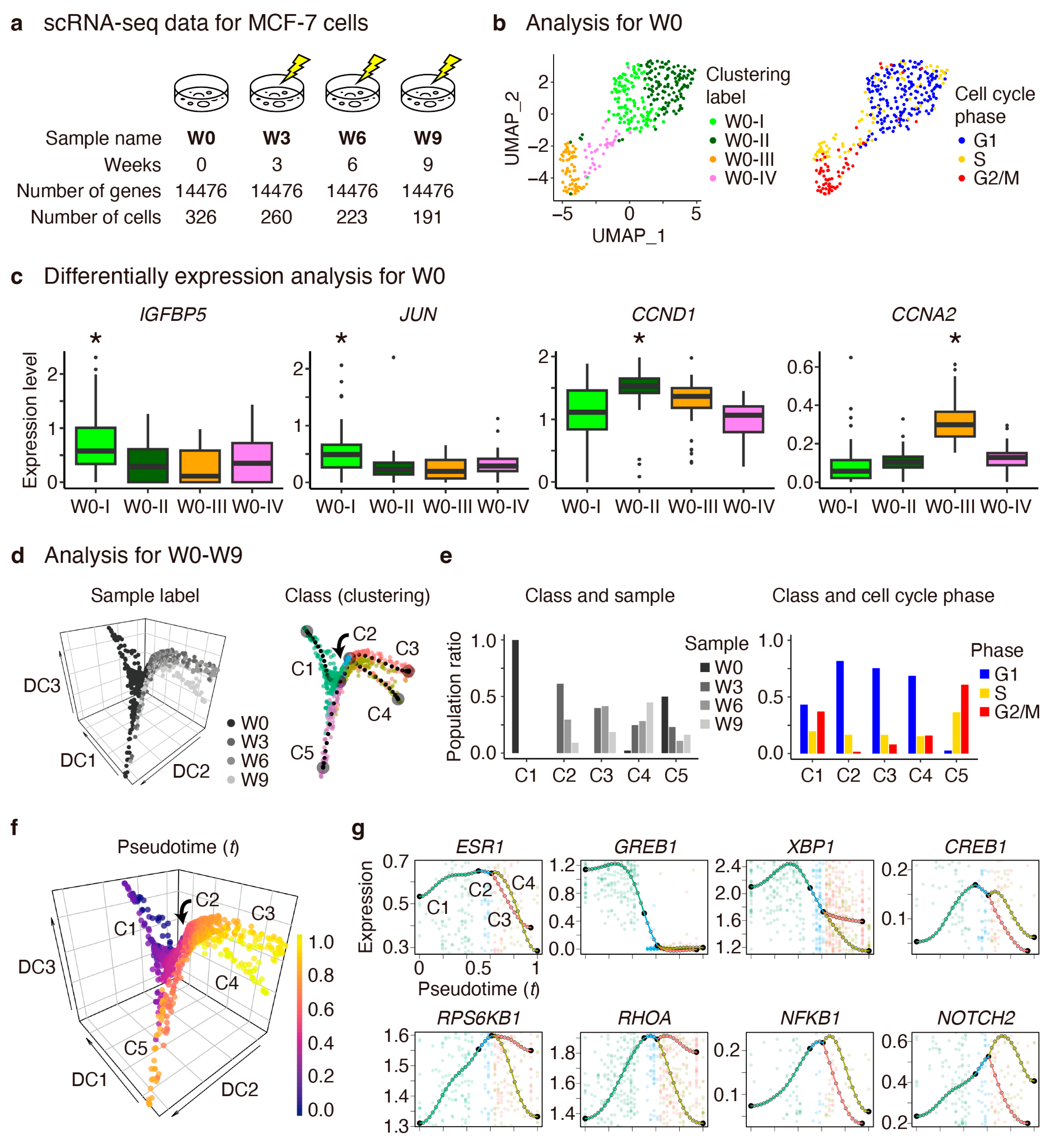 Cancers 16 01884 g002