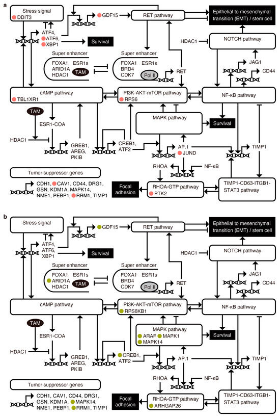 Cancers 16 01884 g0a6