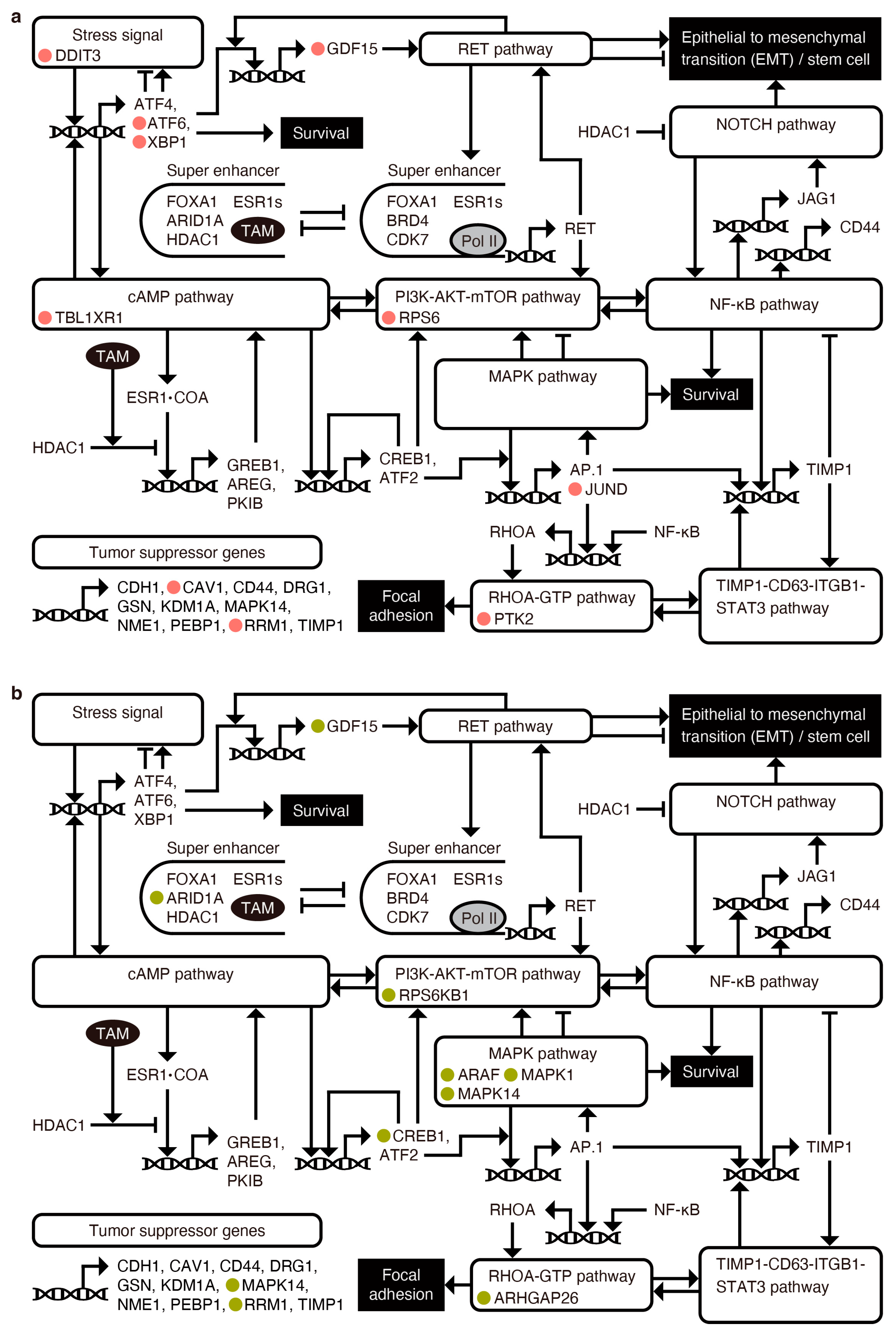 Cancers 16 01884 g0a6