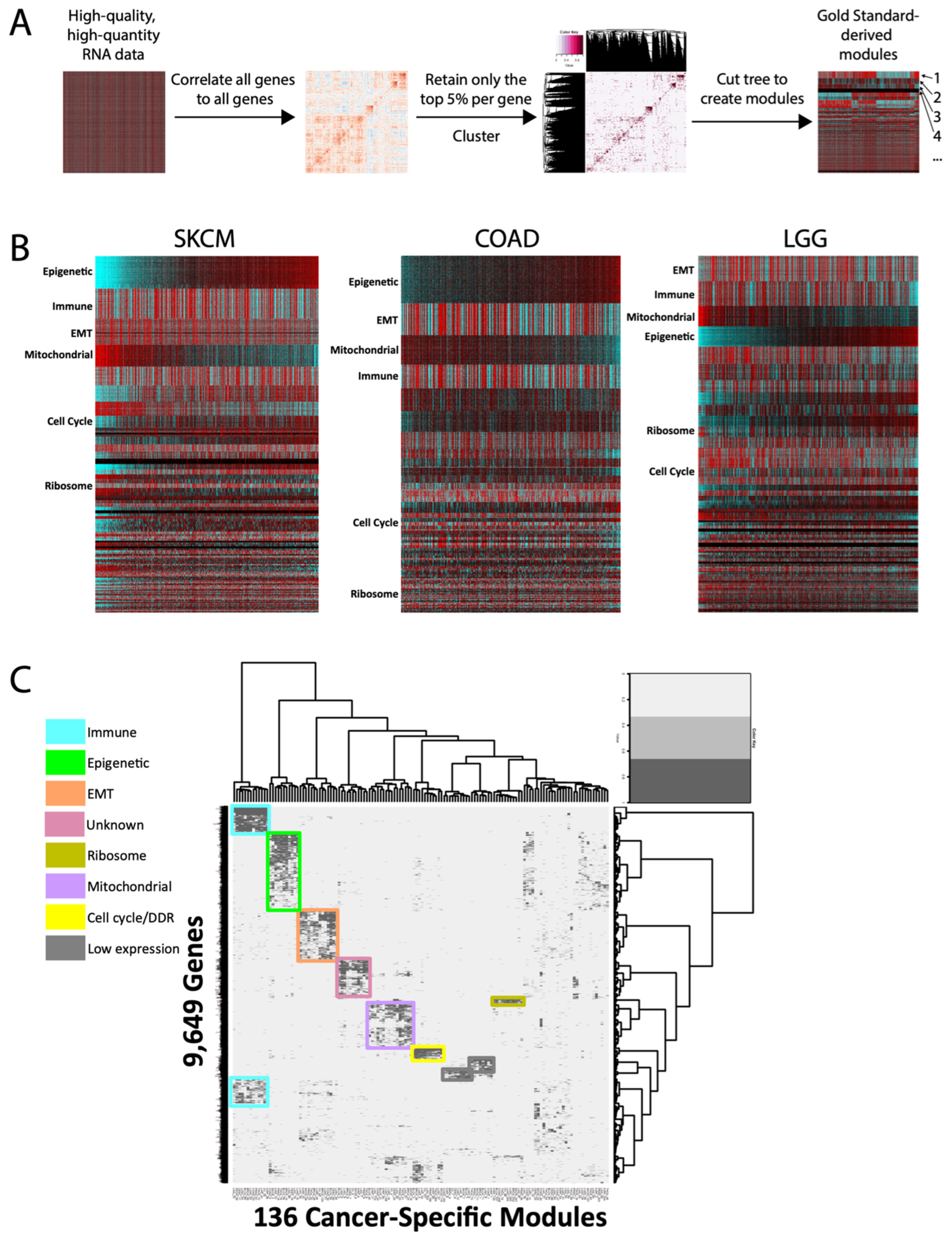 Cancers 16 01886 g001