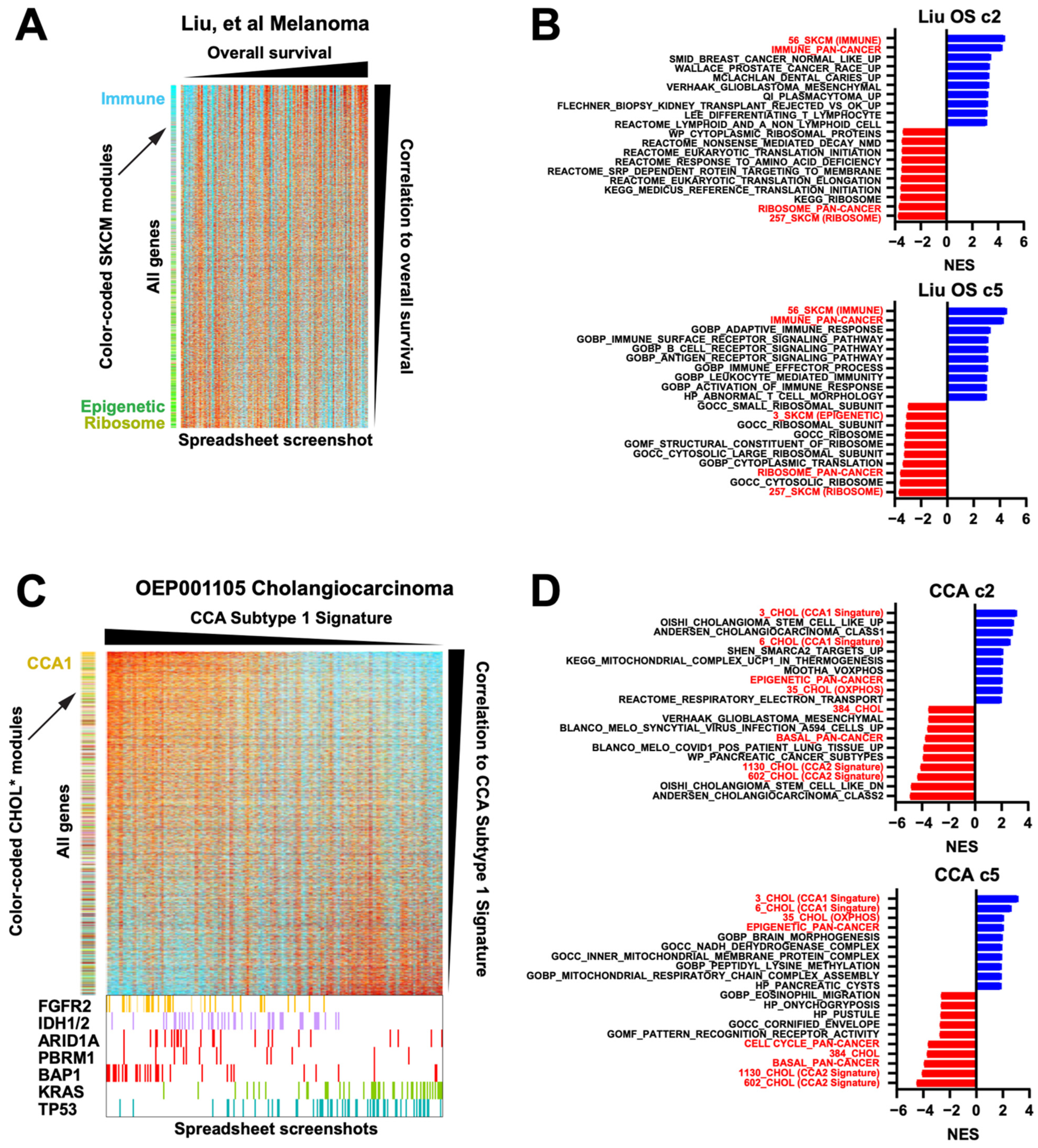 Cancers 16 01886 g006a