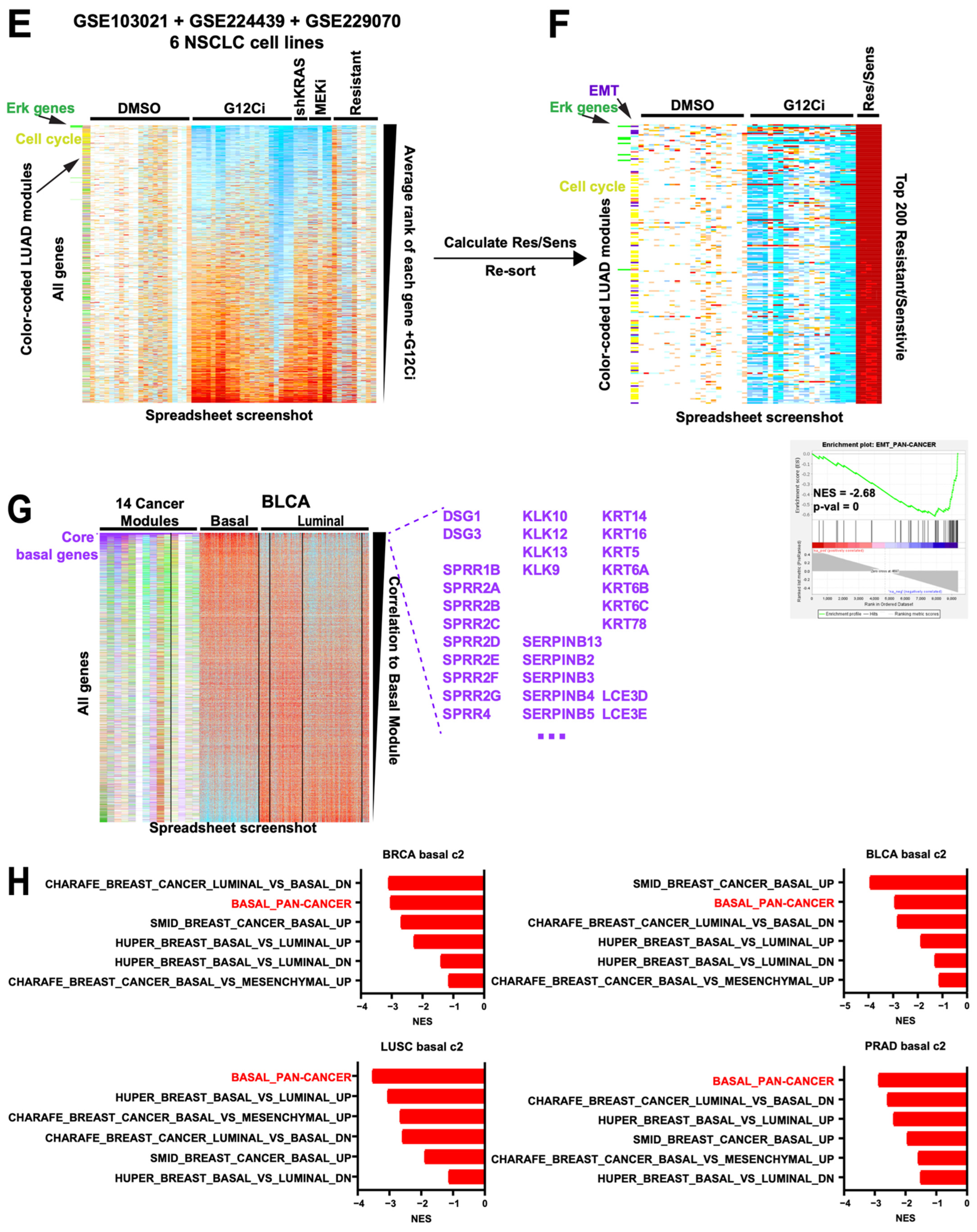 Cancers 16 01886 g006b