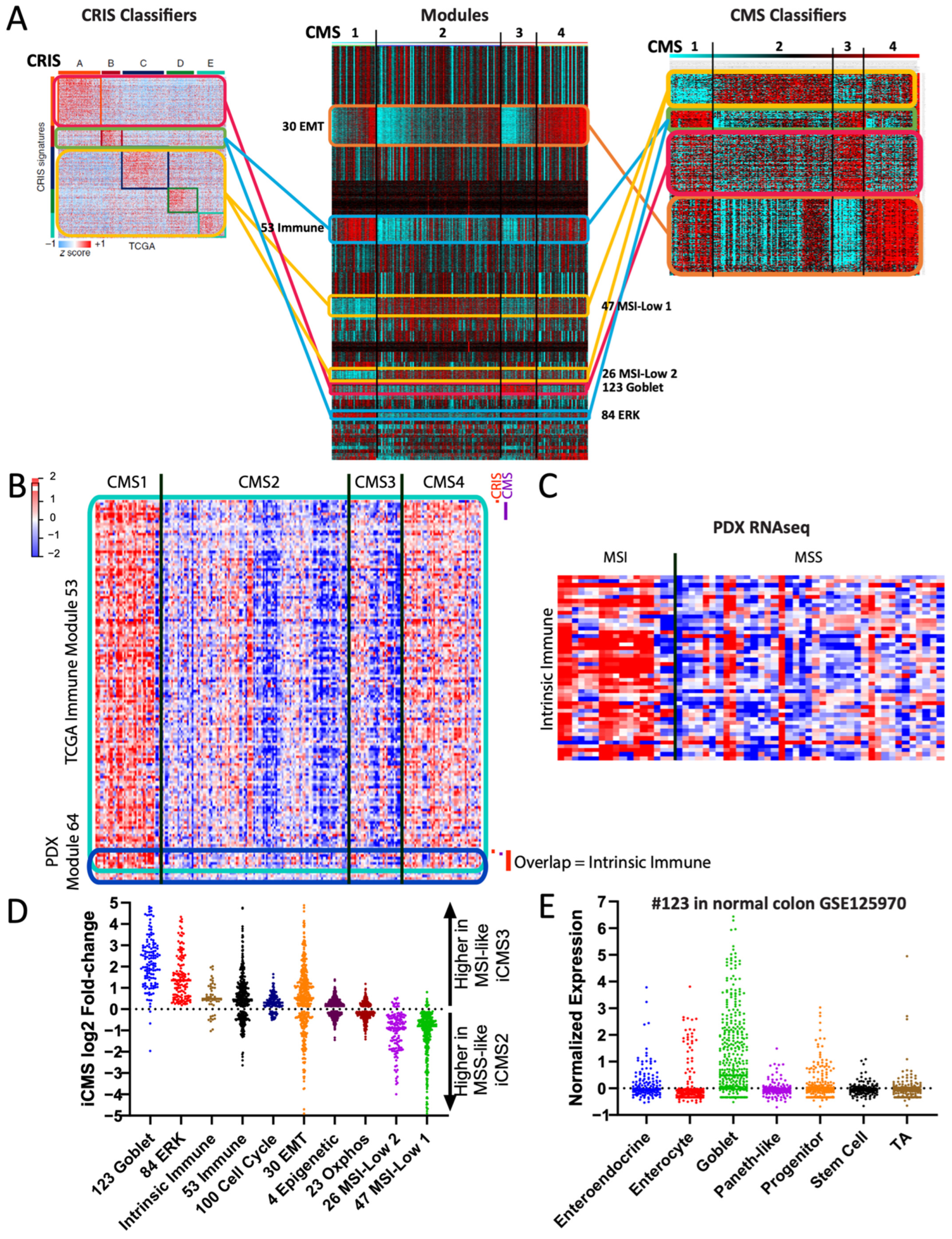 Cancers 16 01886 g007