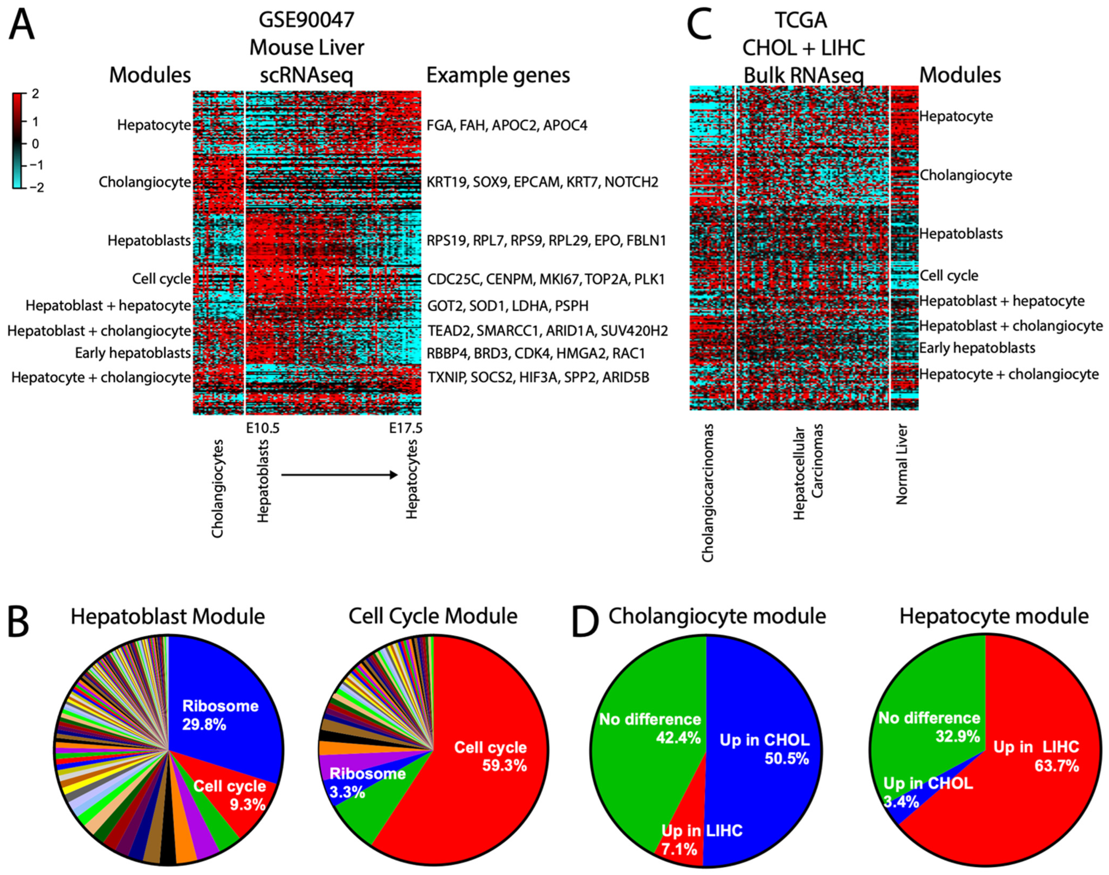 Cancers 16 01886 g008