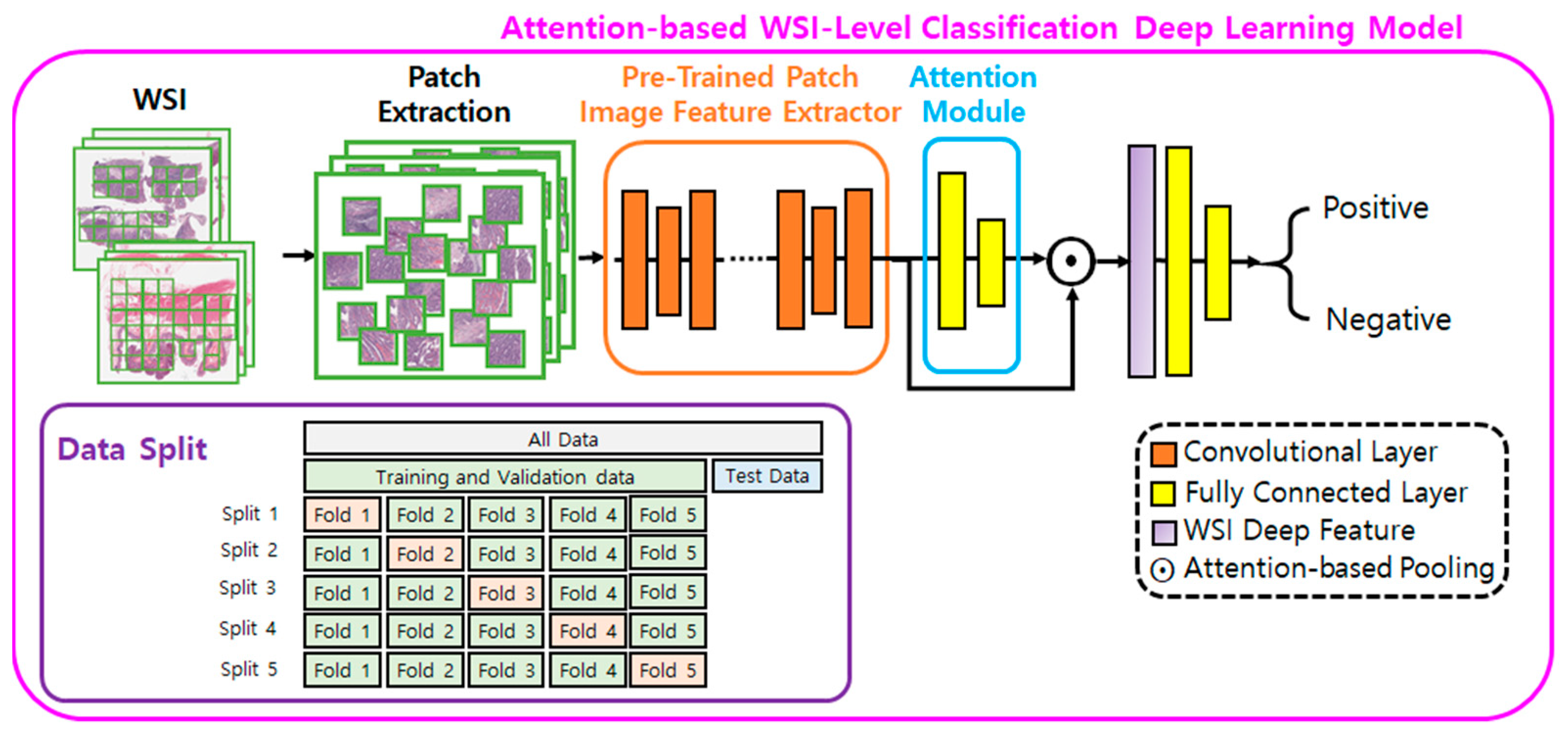 Cancers 16 01900 g001