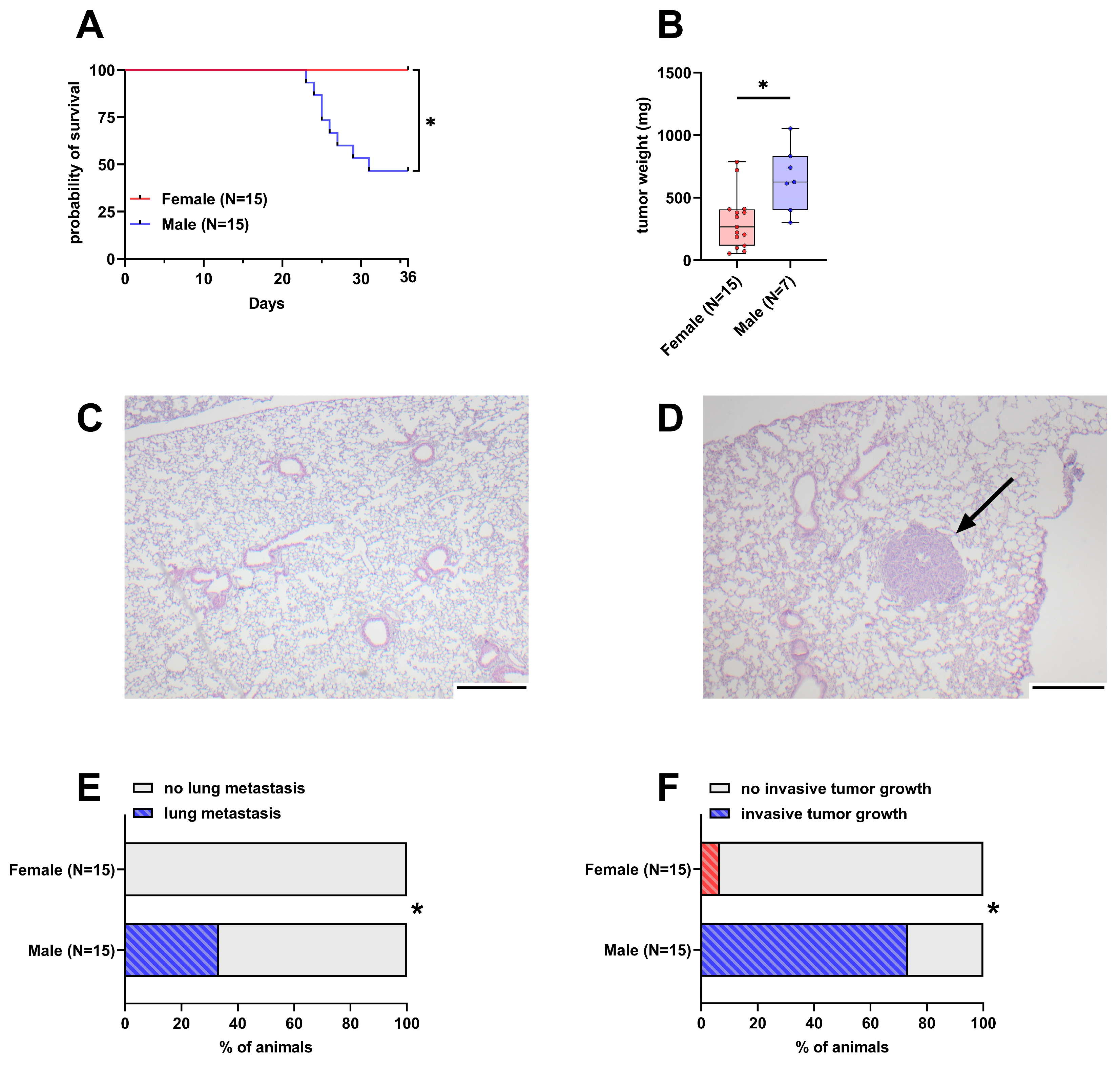 Cancers 16 01901 g001
