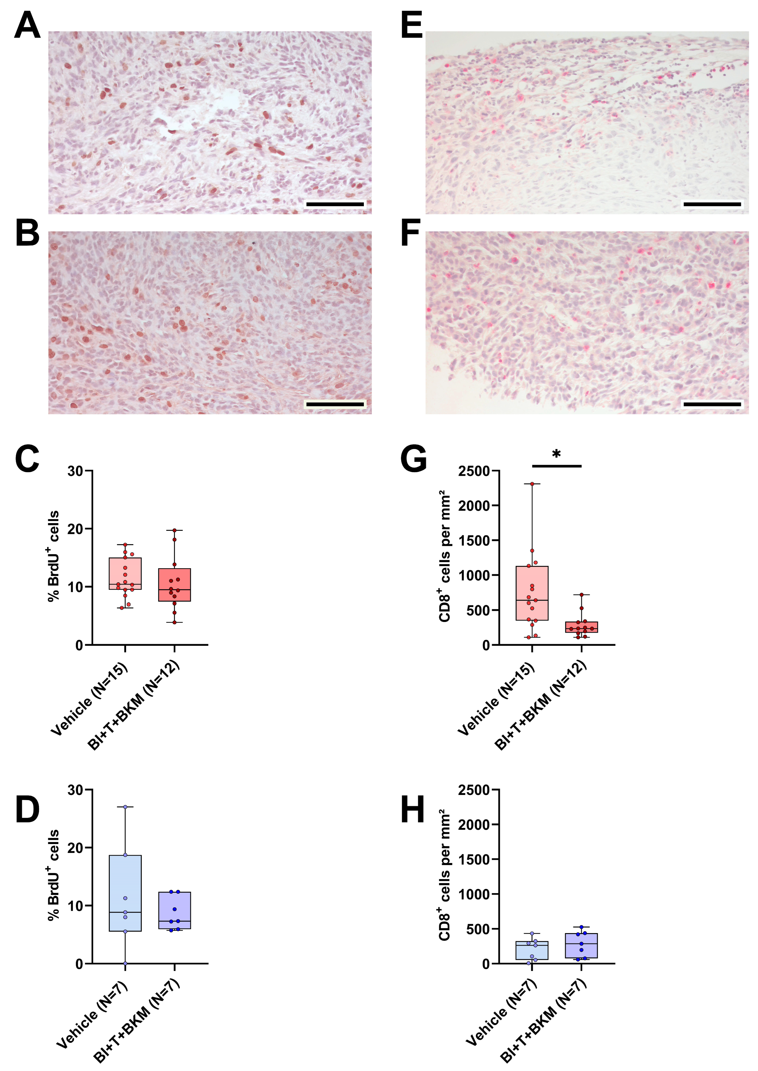 Cancers 16 01901 g007