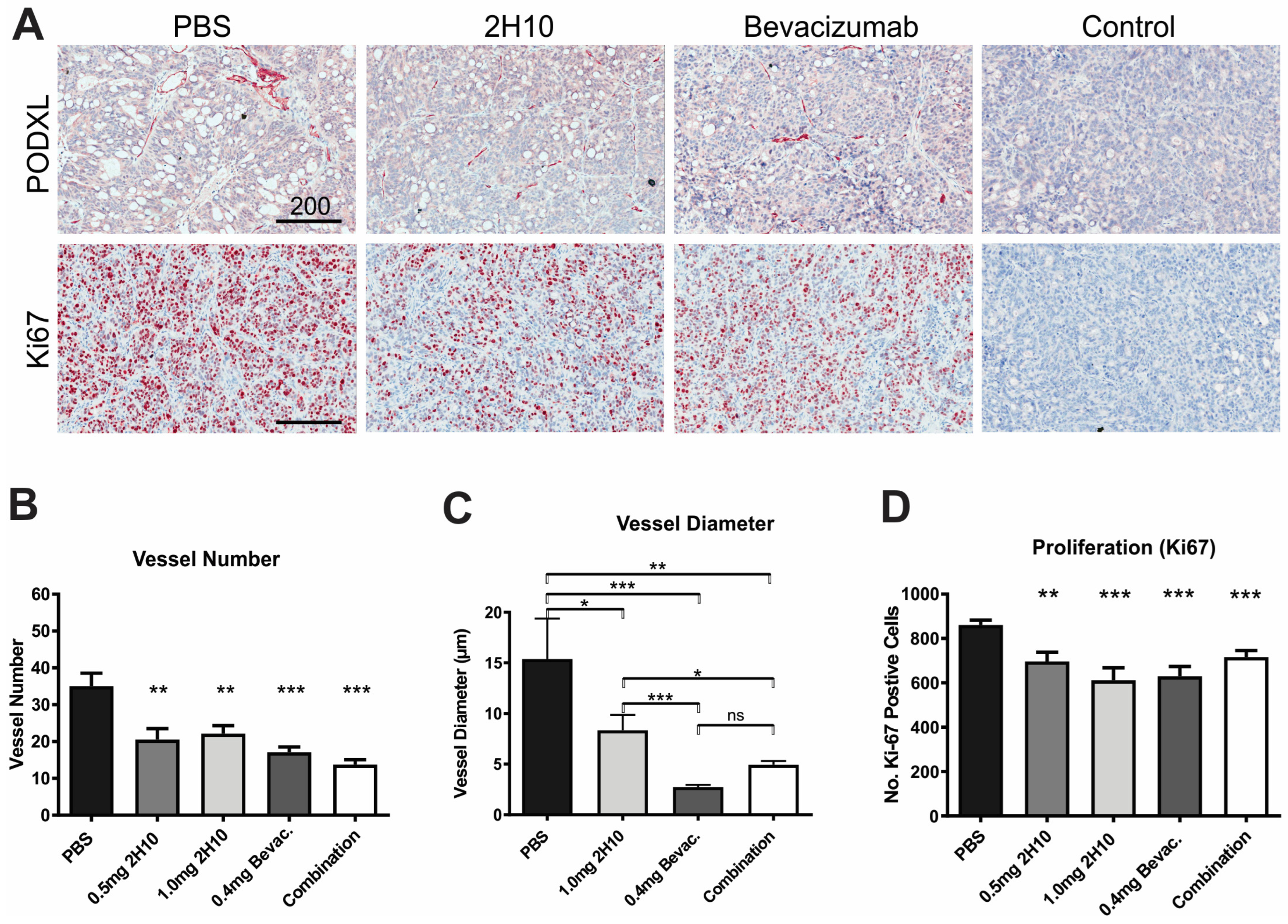 Cancers 16 01902 g004