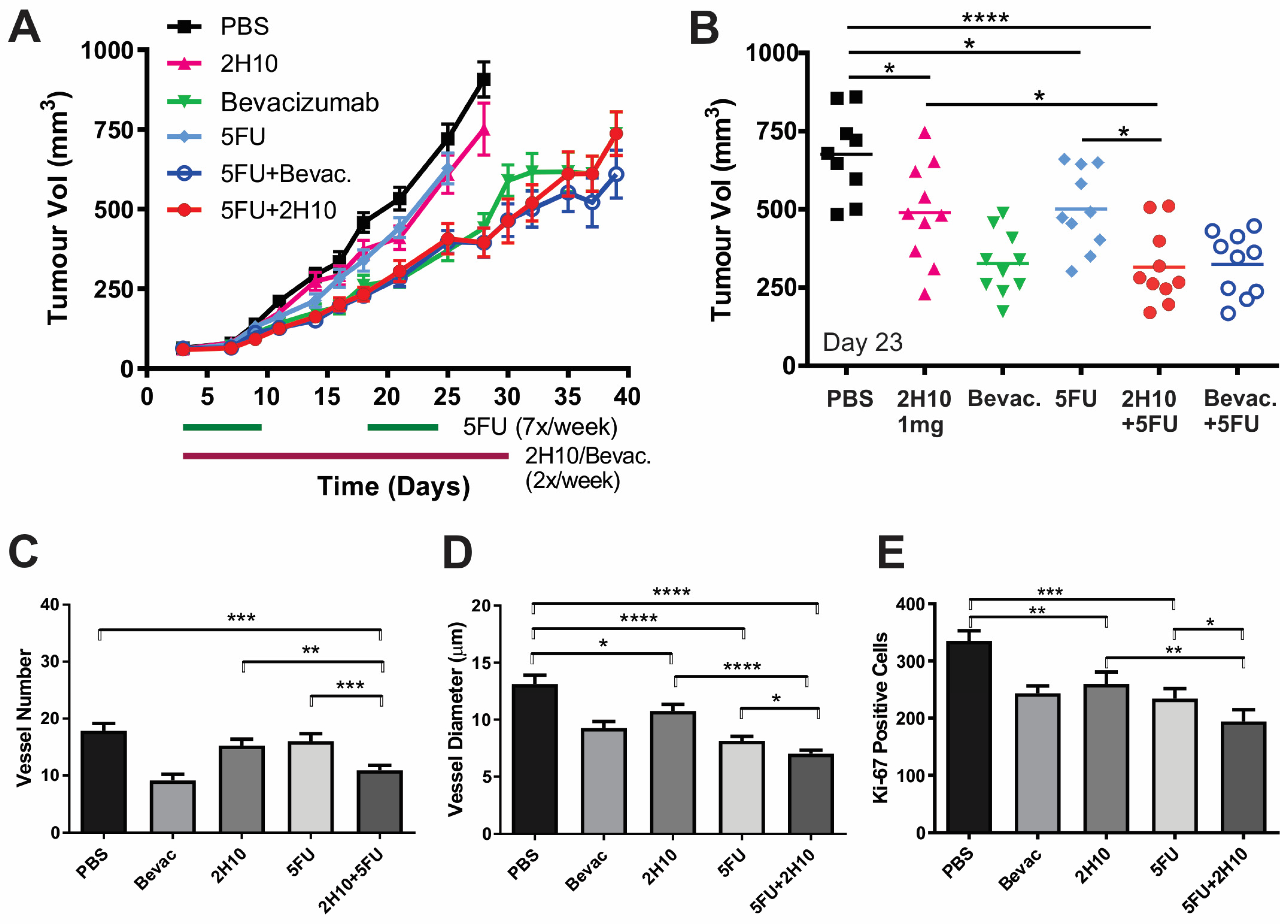 Cancers 16 01902 g006