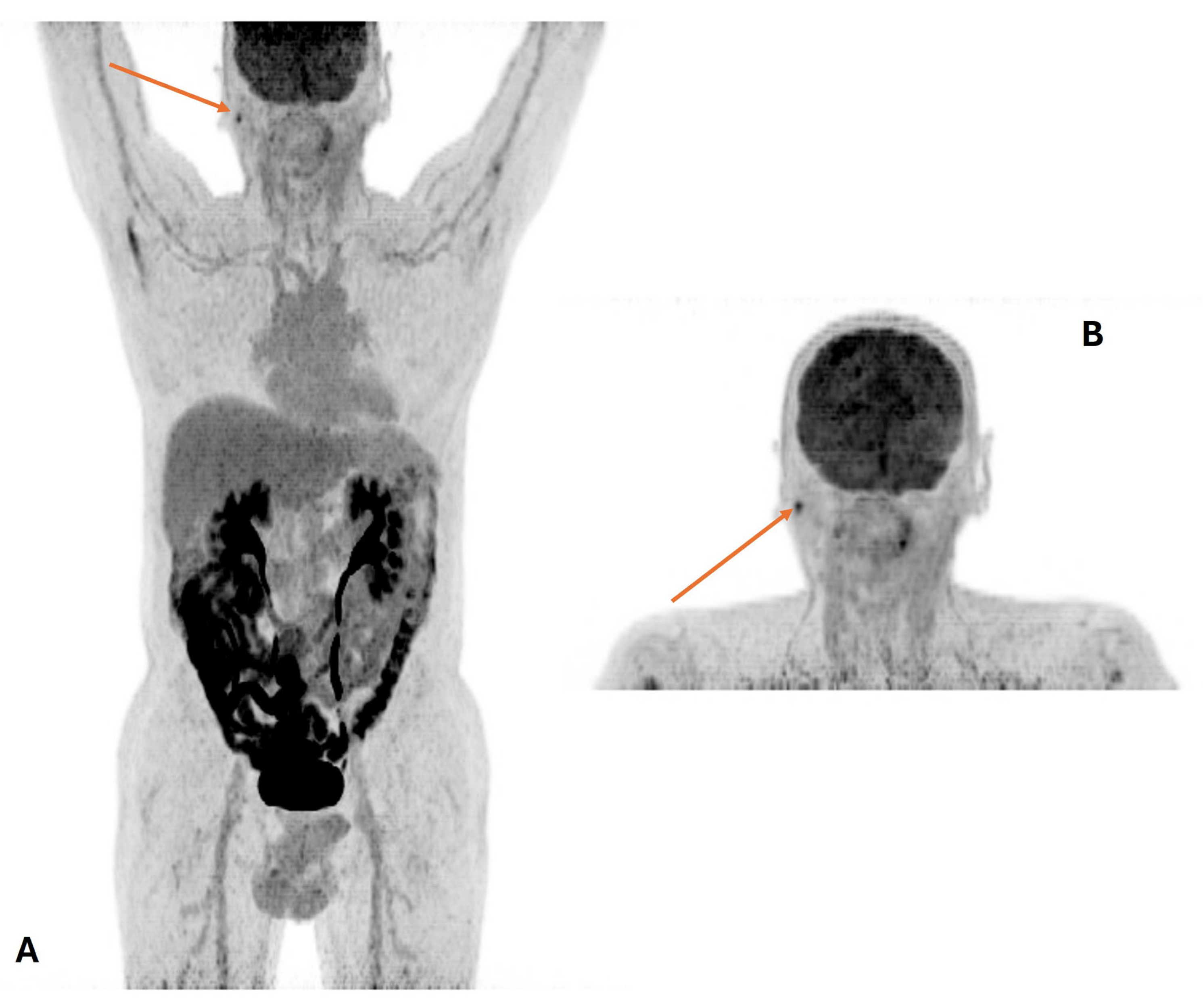 Cancers 16 01905 g001