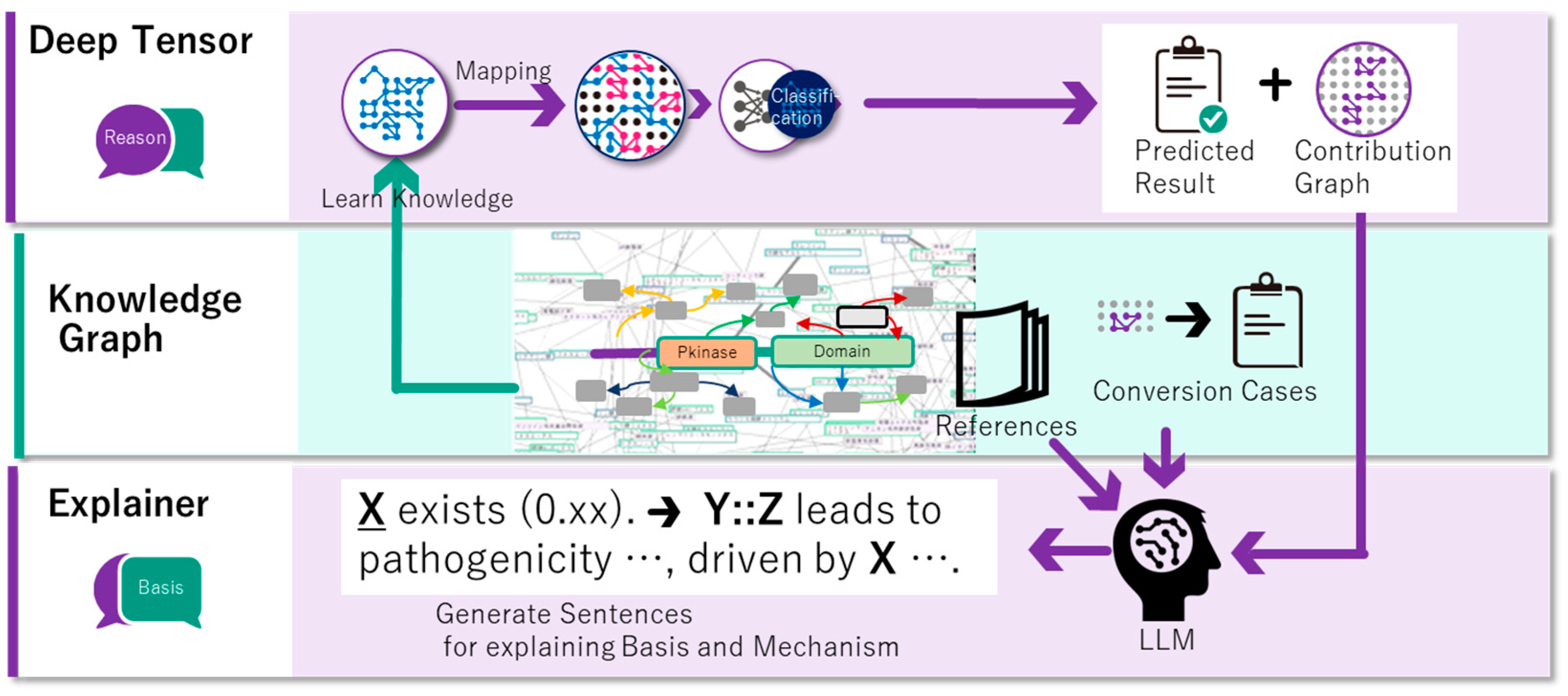 Cancers 16 01915 g001