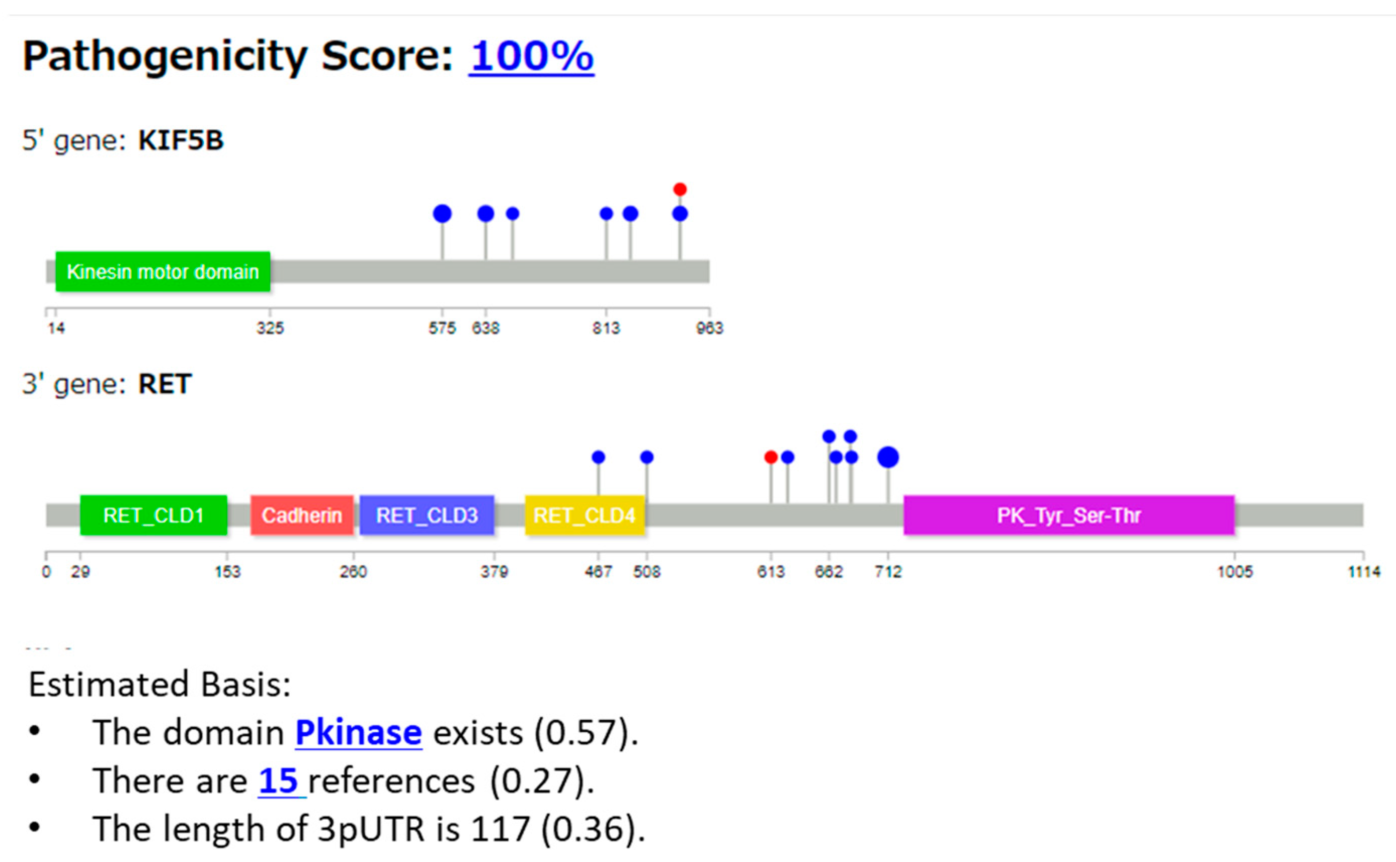 Cancers 16 01915 g004