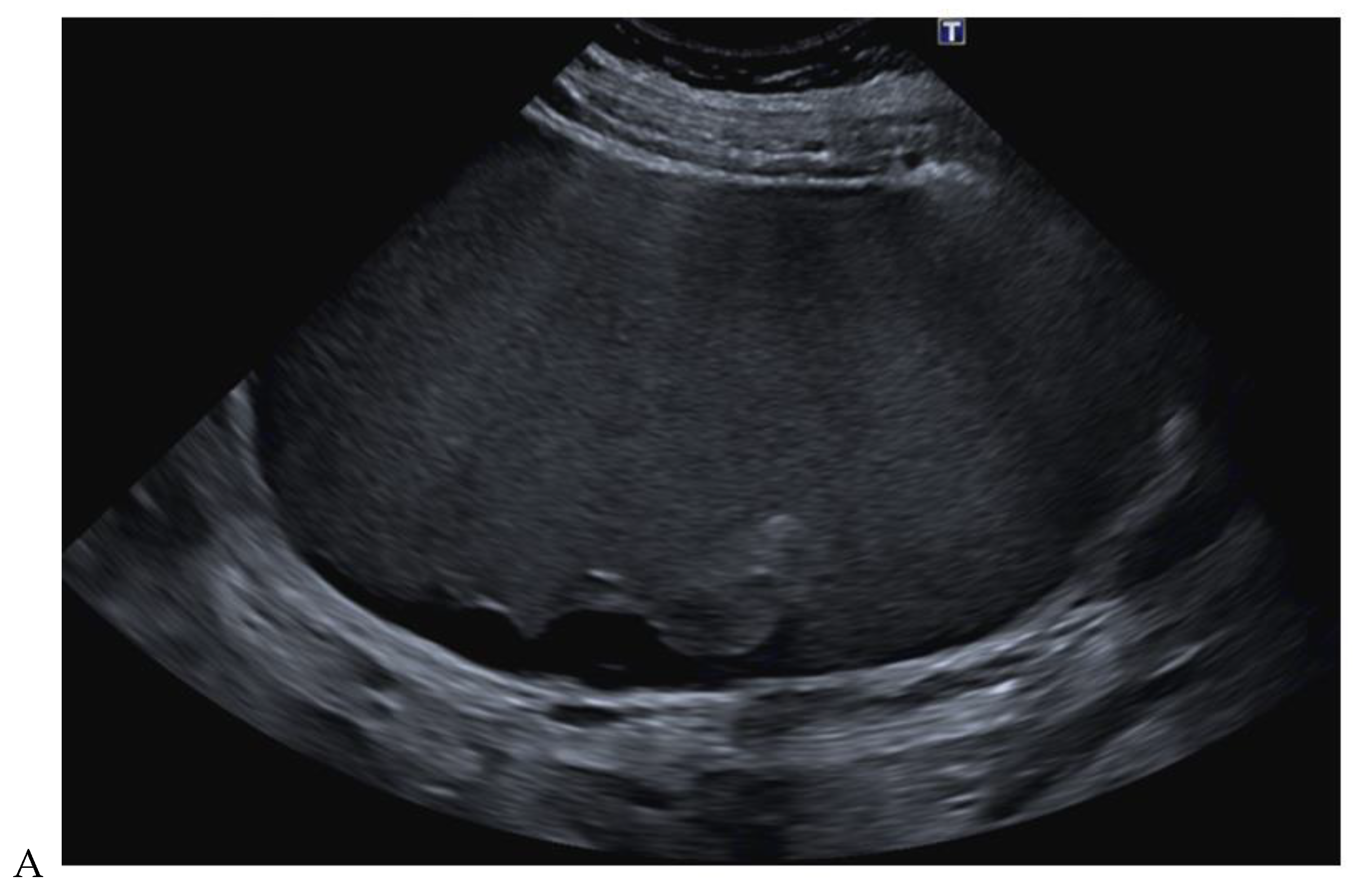 Cancers 16 01926 g010a