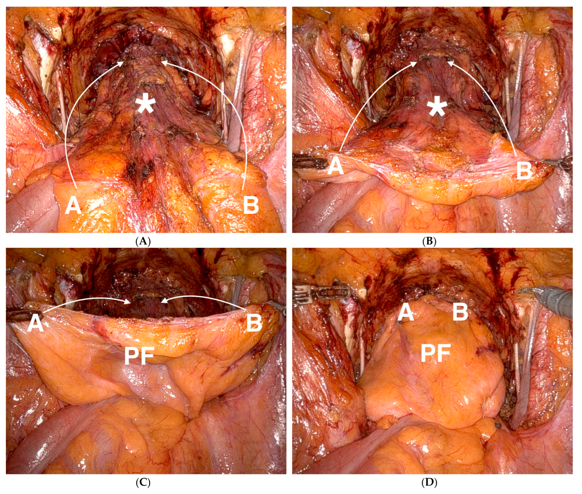 Cancers 16 01932 g001