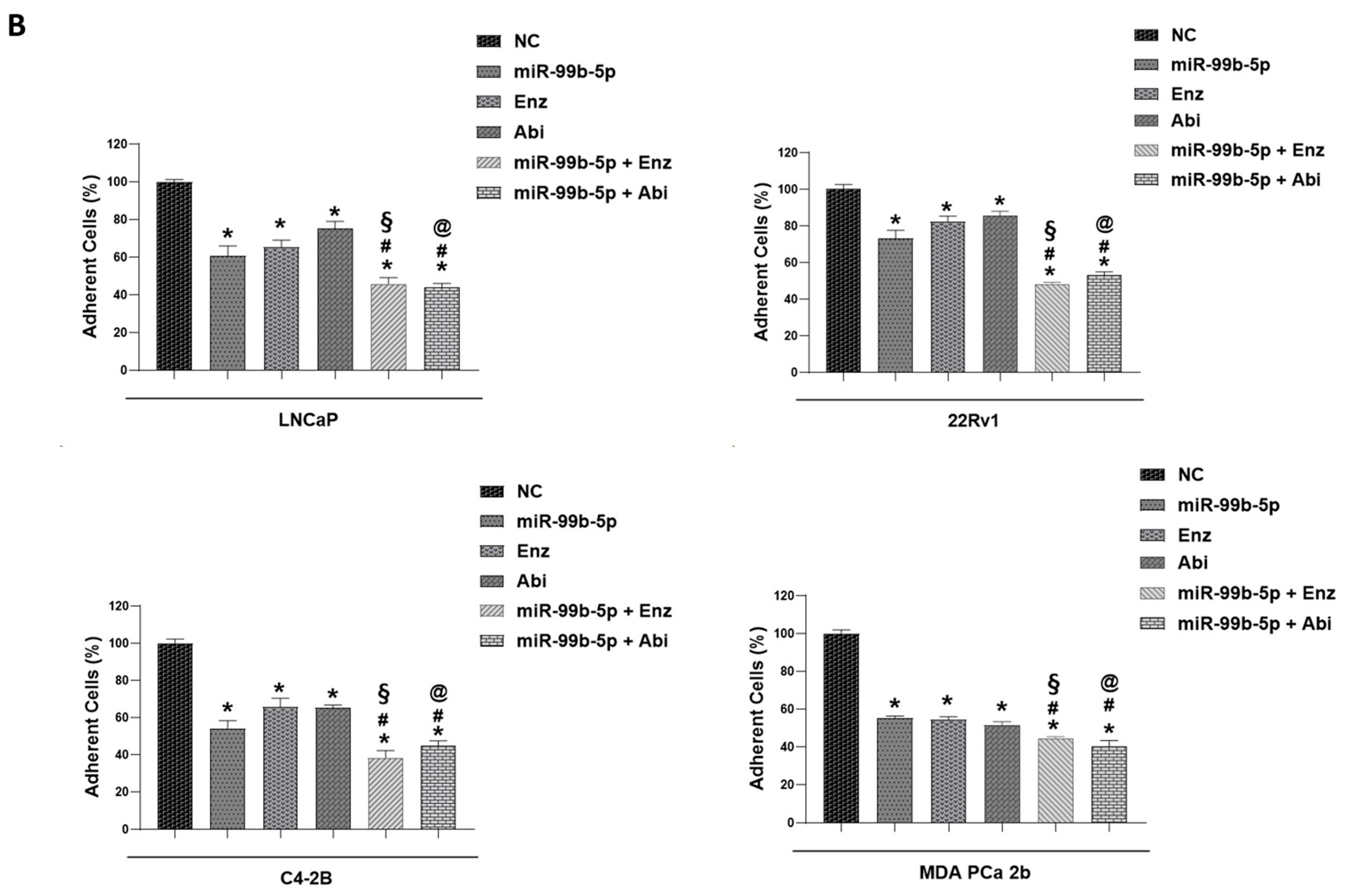 Cancers 16 01933 g006b