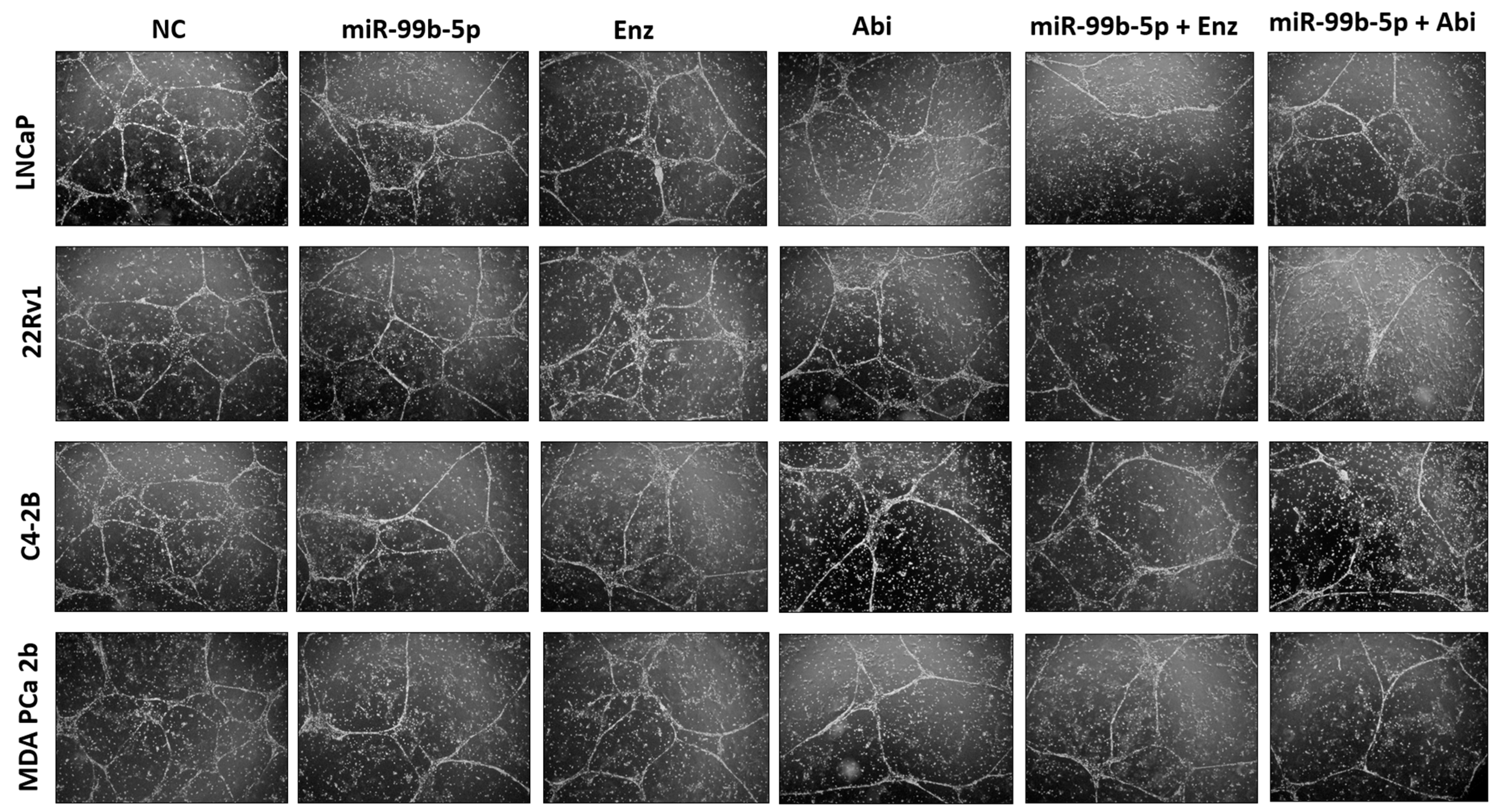 Cancers 16 01933 g007