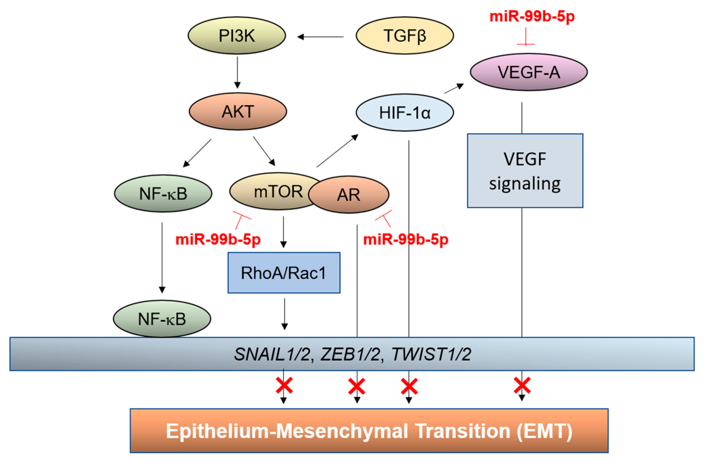 Cancers 16 01933 g008