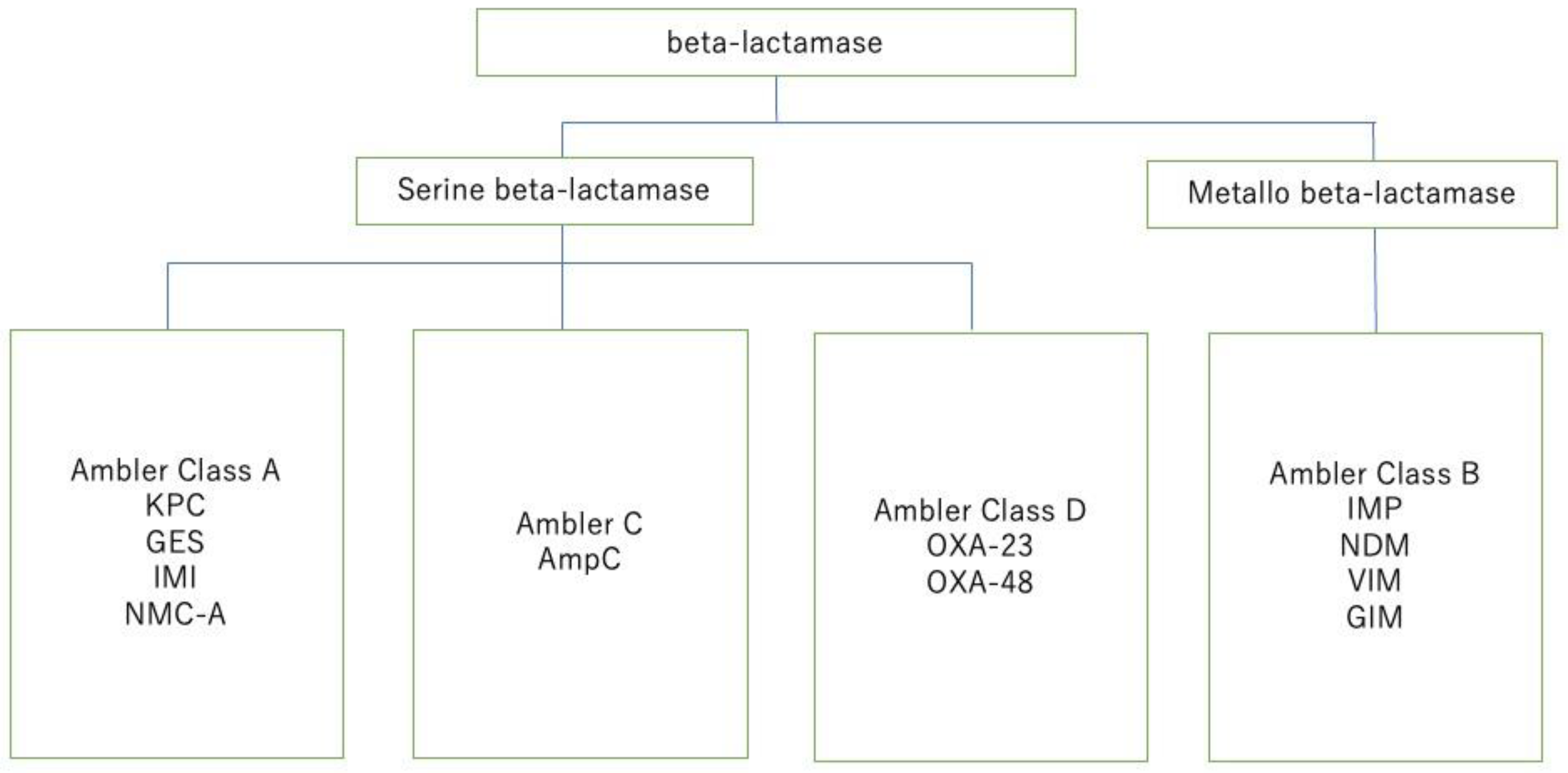 Cancers 16 01934 g007