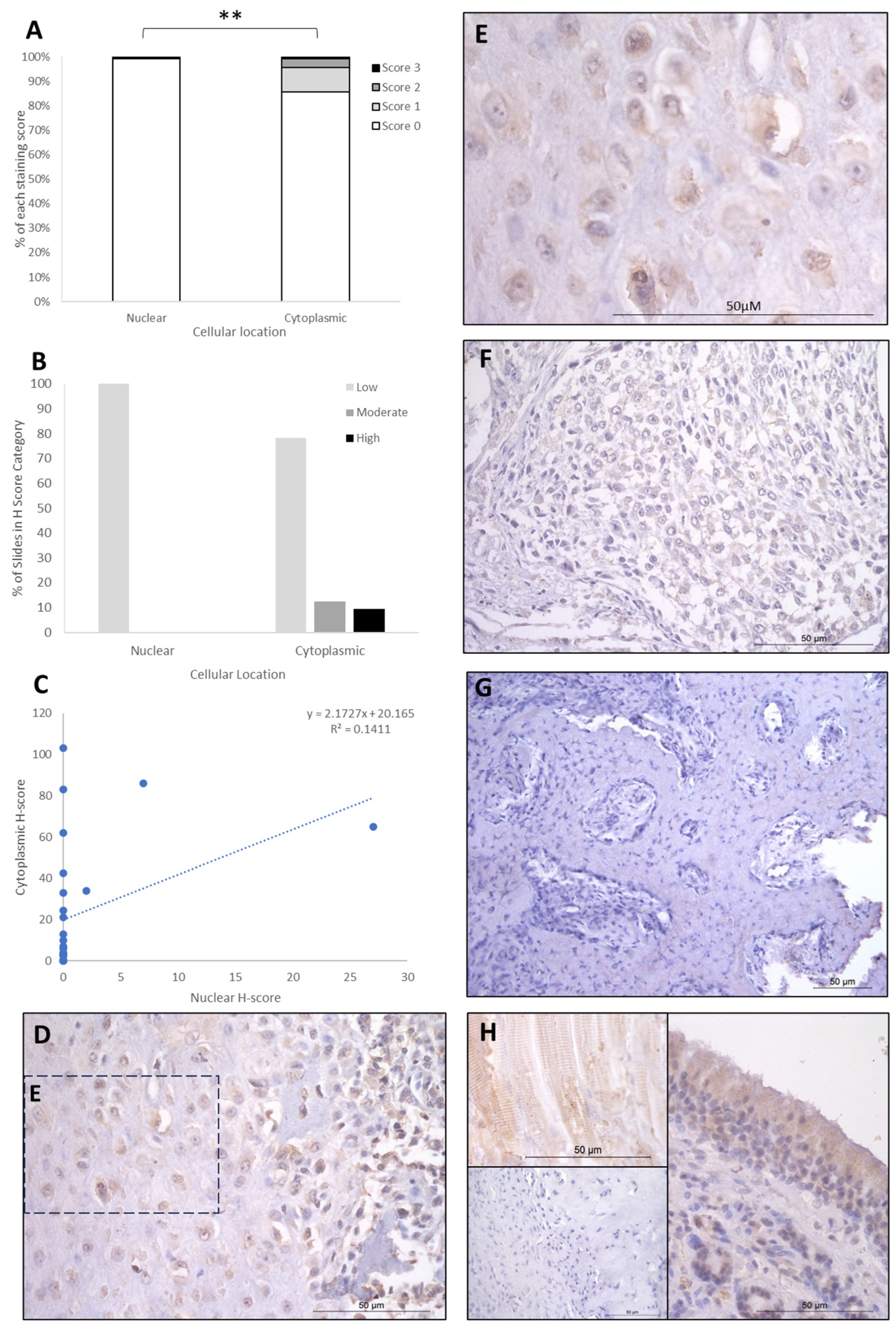 Cancers 16 01945 g002