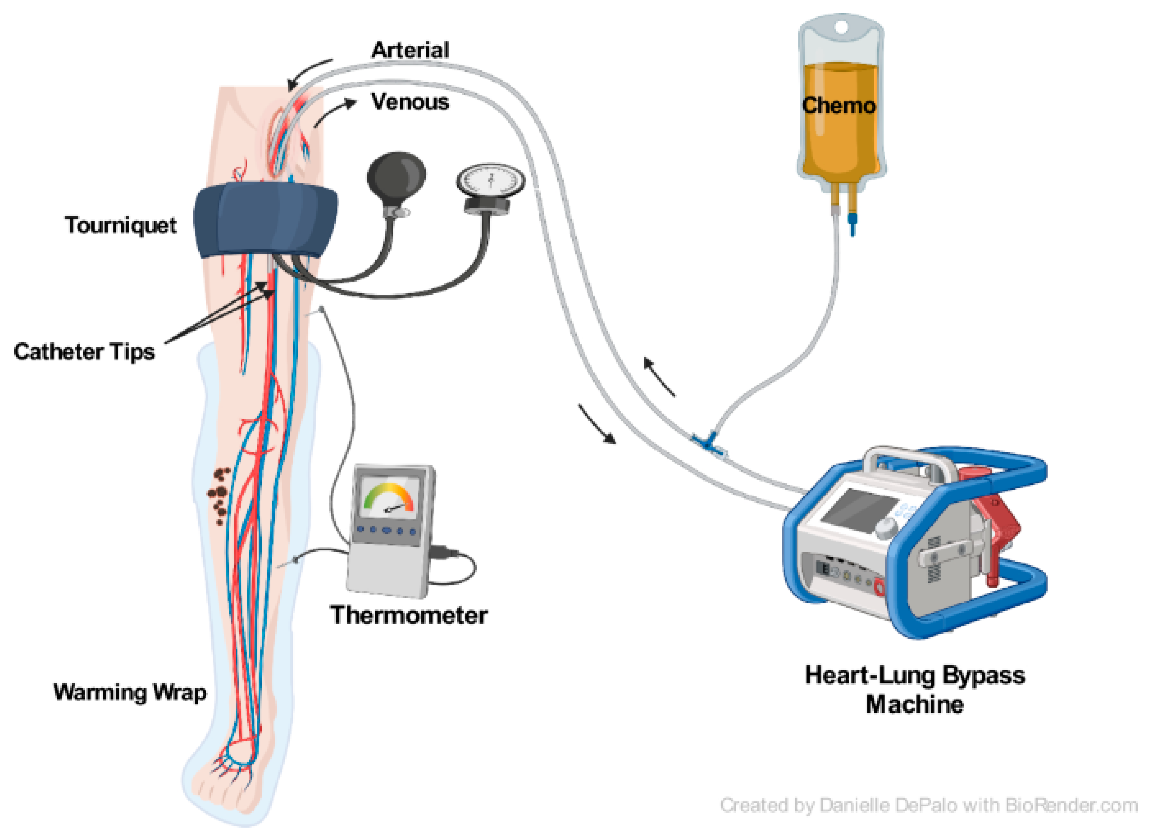 Cancers 16 01957 g001