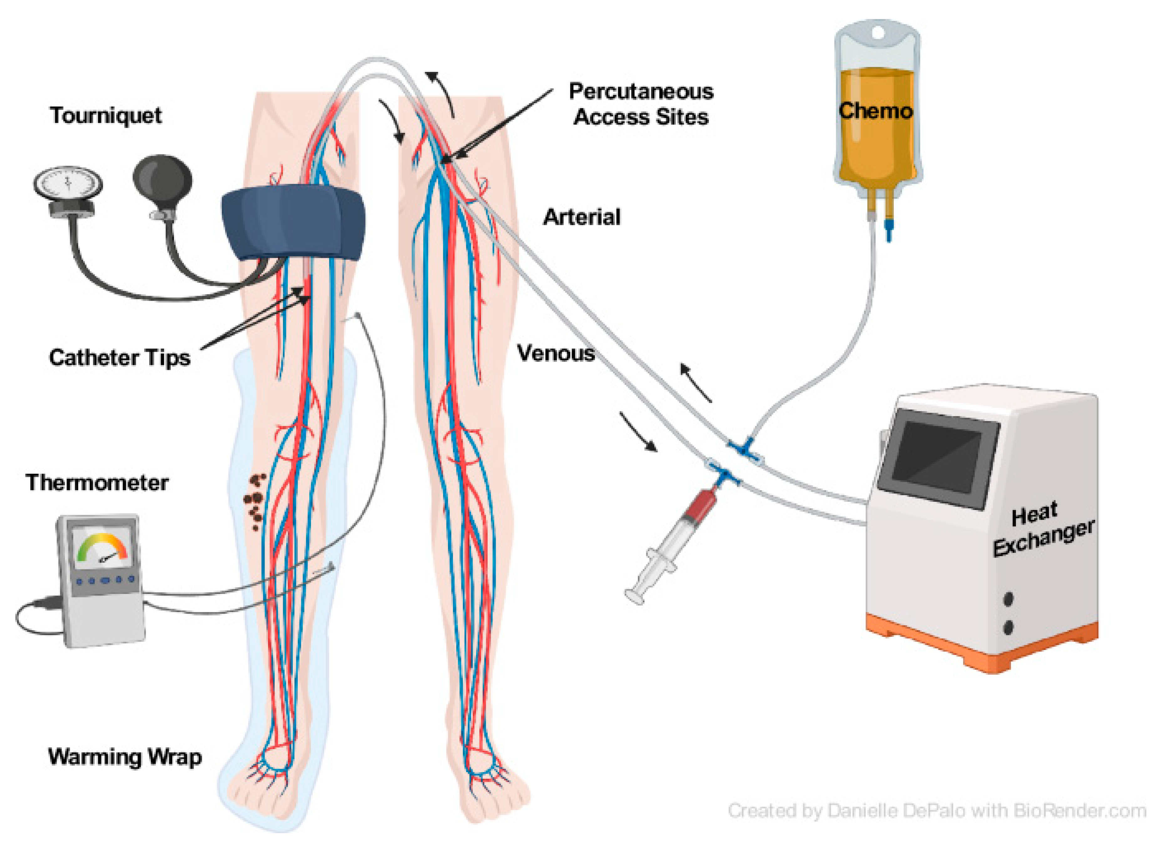 Cancers 16 01957 g002