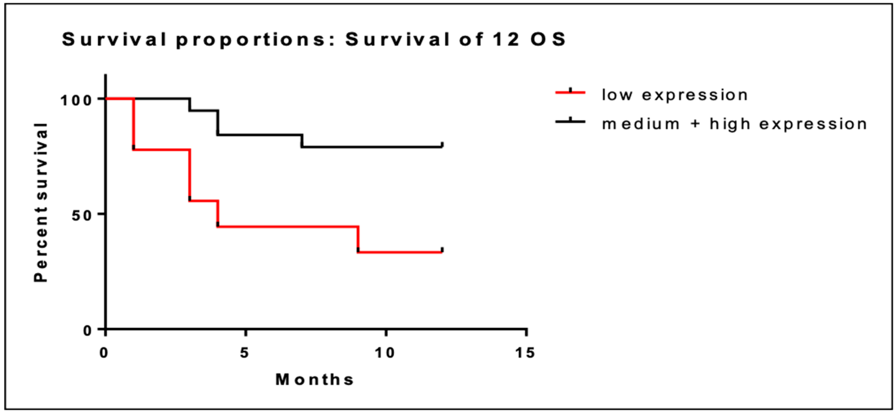 Cancers 16 01962 g001