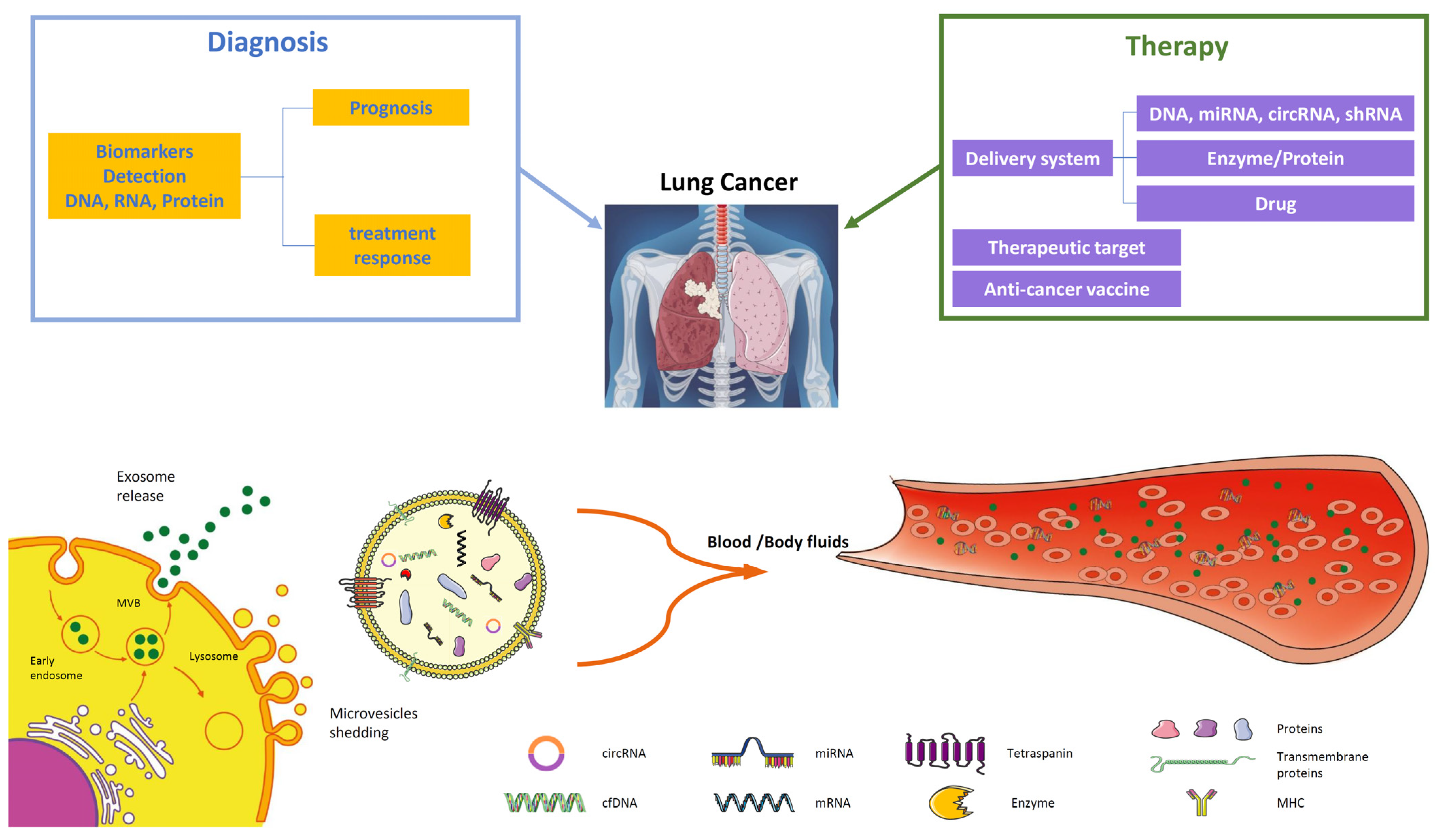 Cancers 16 01967 g002