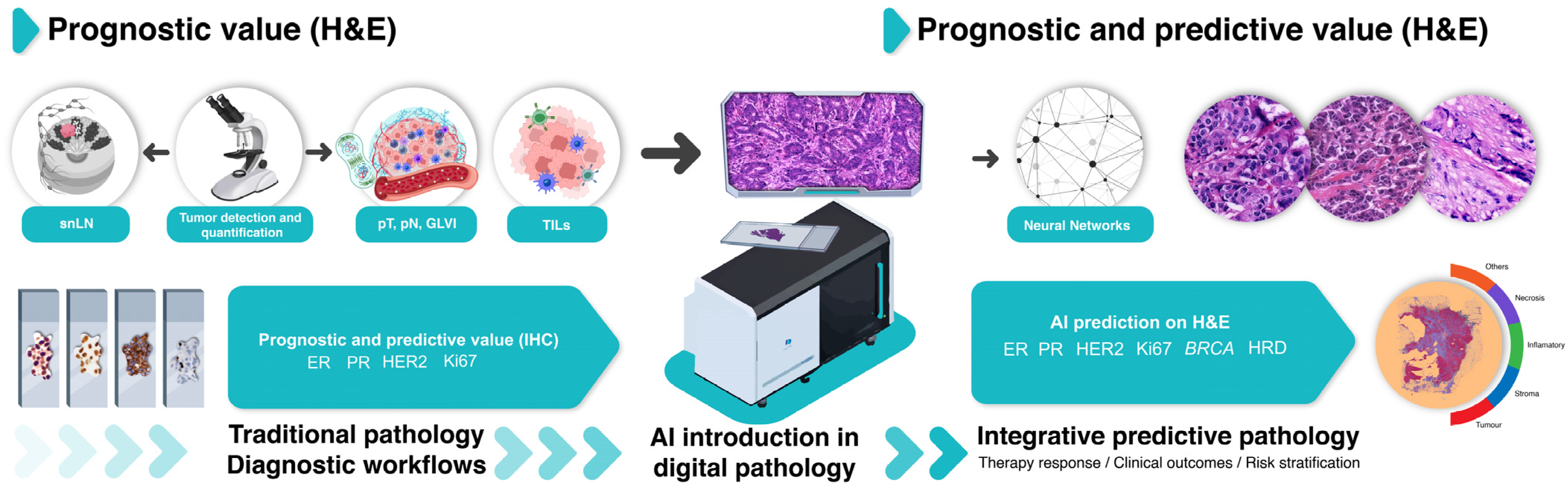 Cancers 16 01981 g001