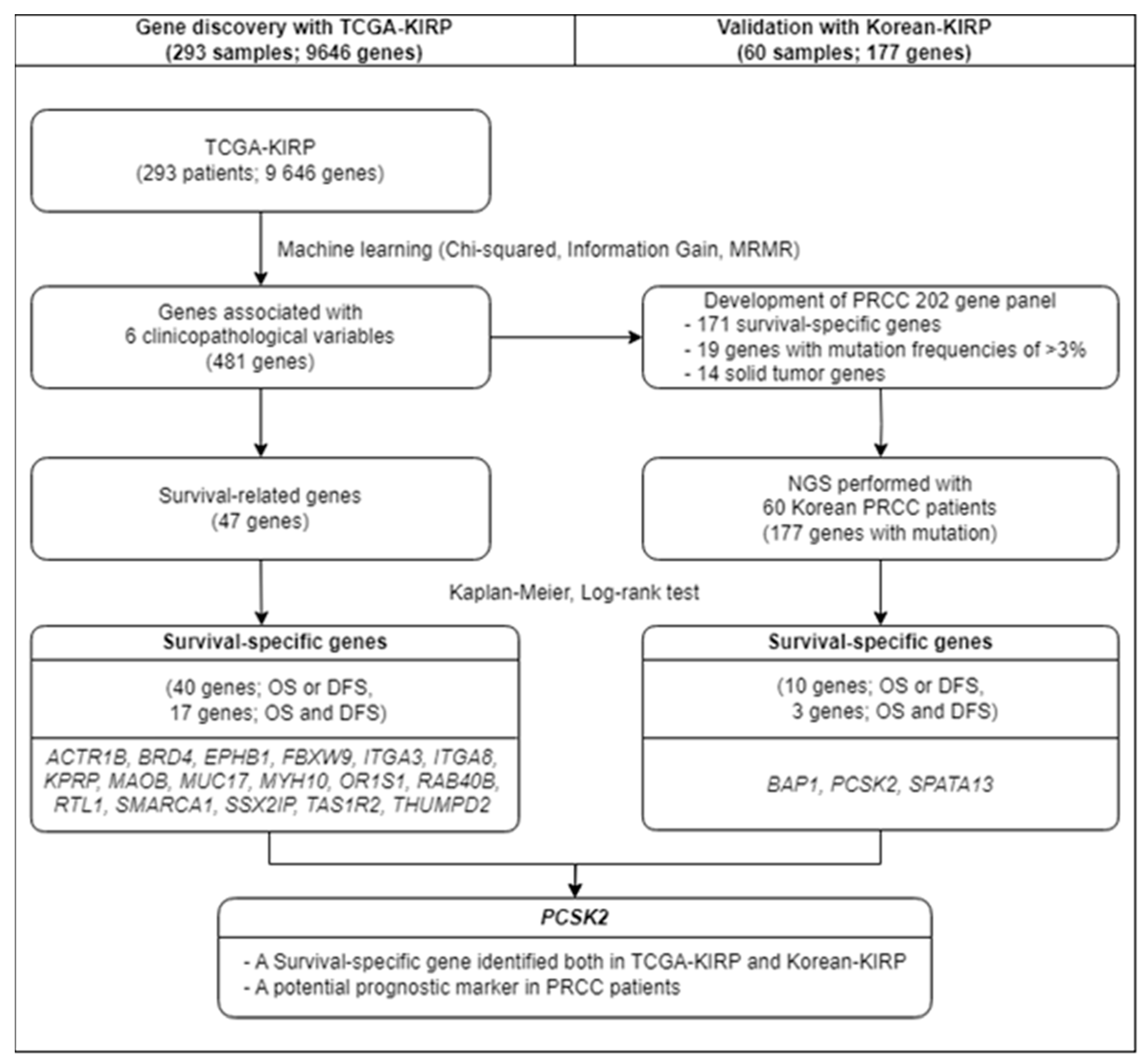Cancers 16 02006 g001