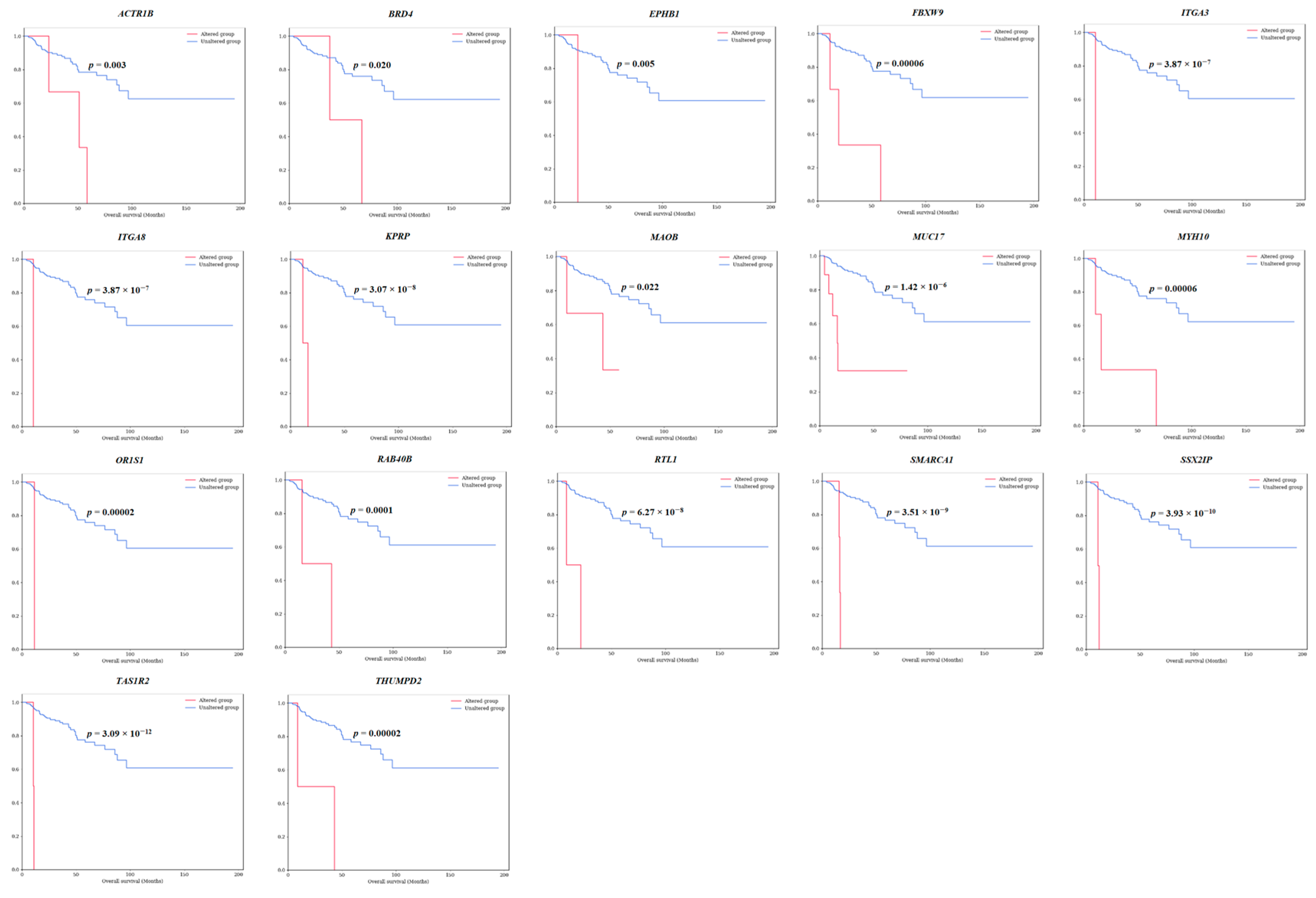 Cancers 16 02006 g002