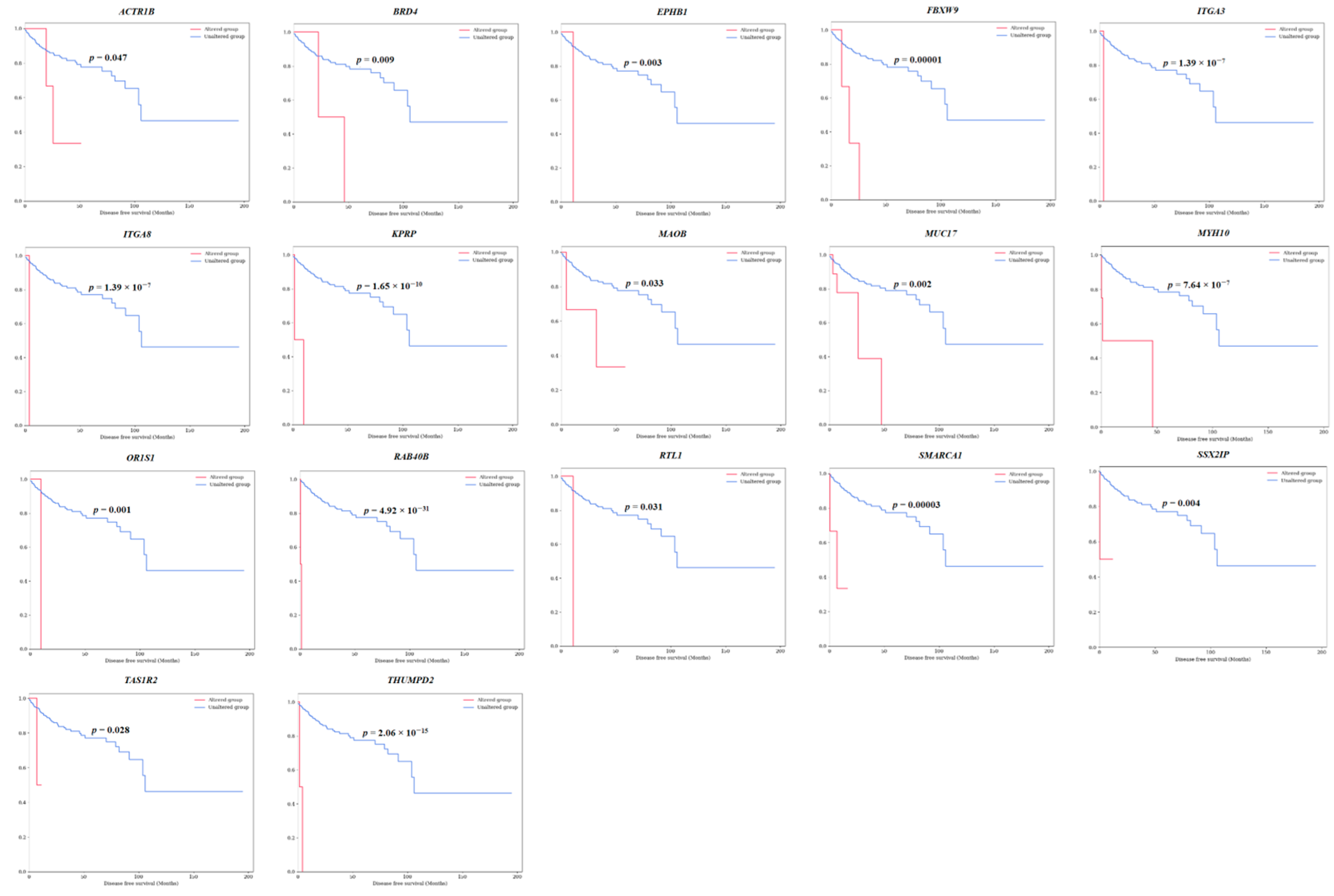Cancers 16 02006 g003
