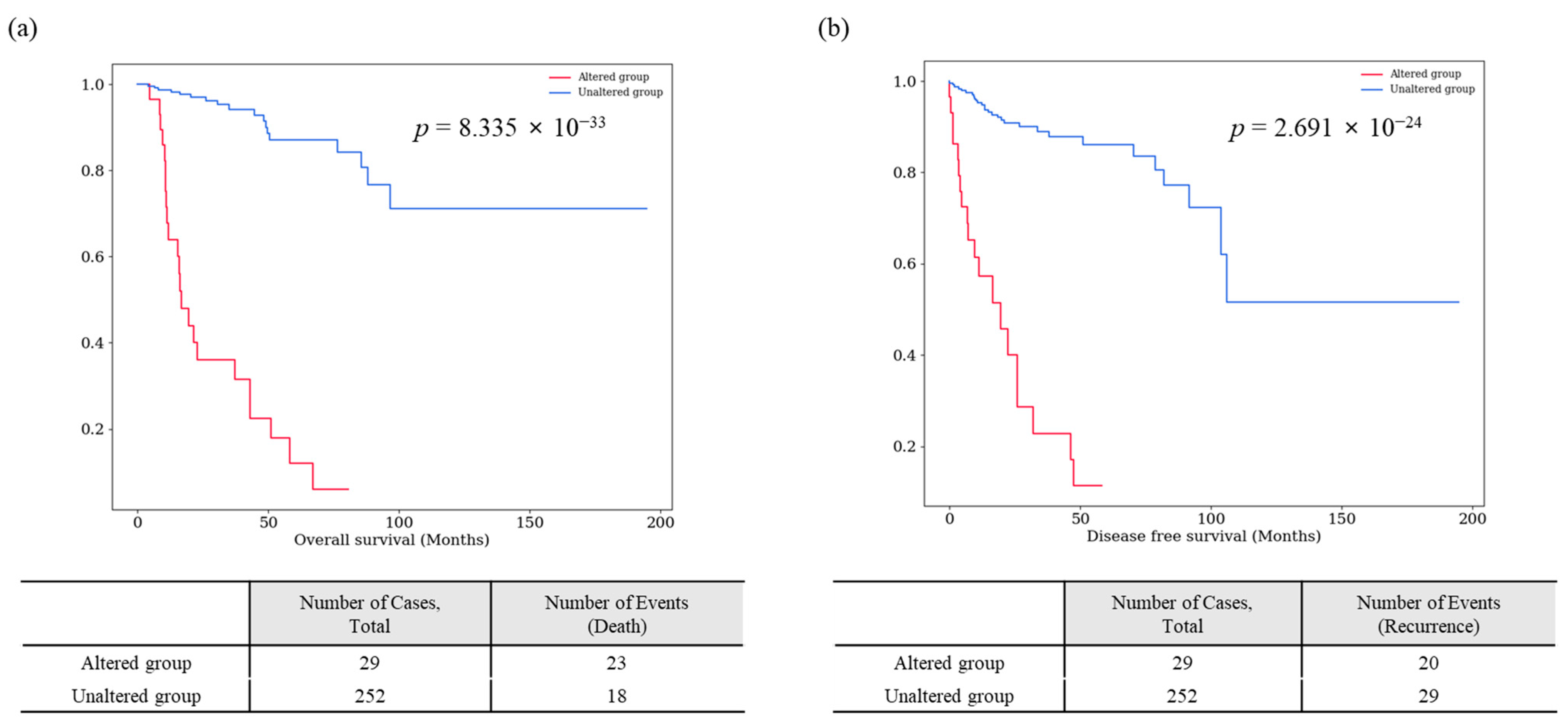 Cancers 16 02006 g004