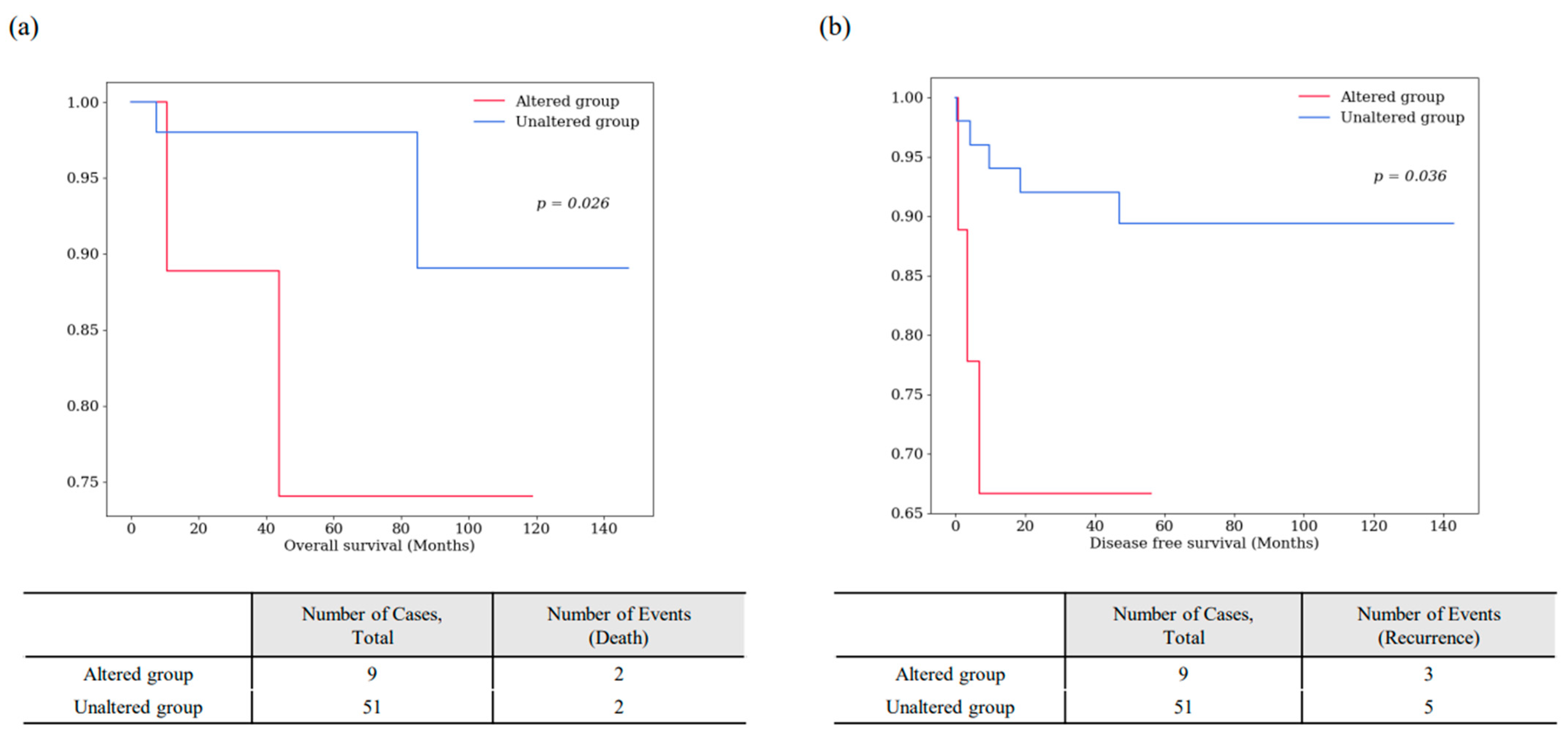 Cancers 16 02006 g006